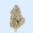 Jealousy – THCa Flower Bay Smokes