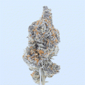 Space Junky – THCa Flower Bay Smokes