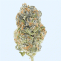 Tres Leches THCa Flower Bay Smokes