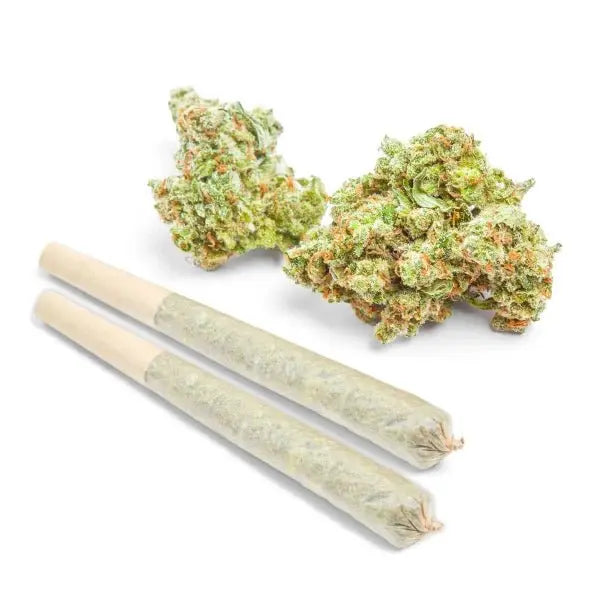 THCa Prerolls - Bay Smokes