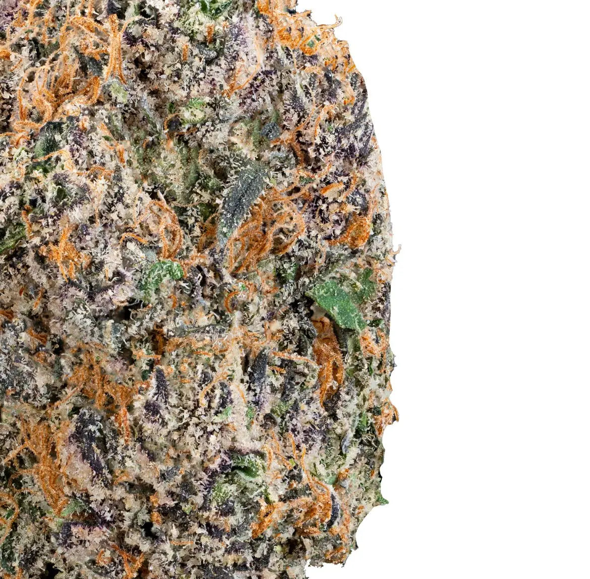 Thai Iced Tea - THCa Flower - Bay Smokes