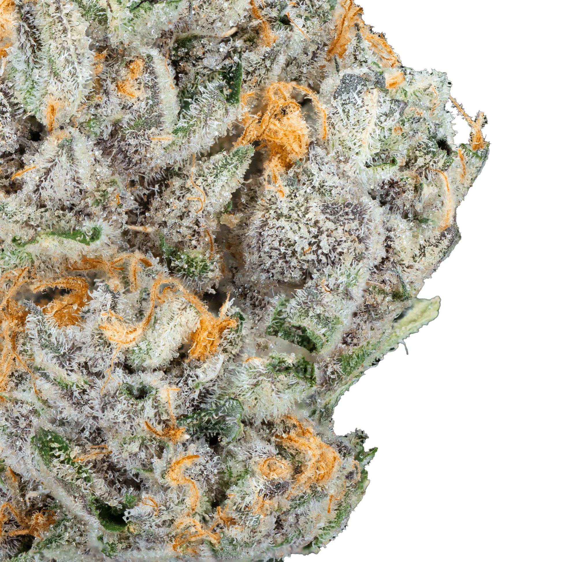 Alien ET - THCa Flower - Bay Smokes