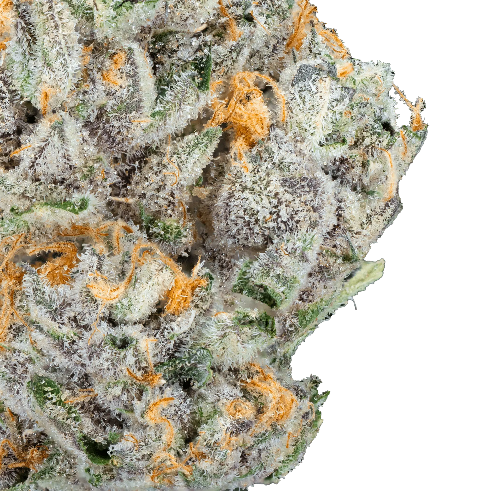 Alien ET - THCa Flower - Bay Smokes