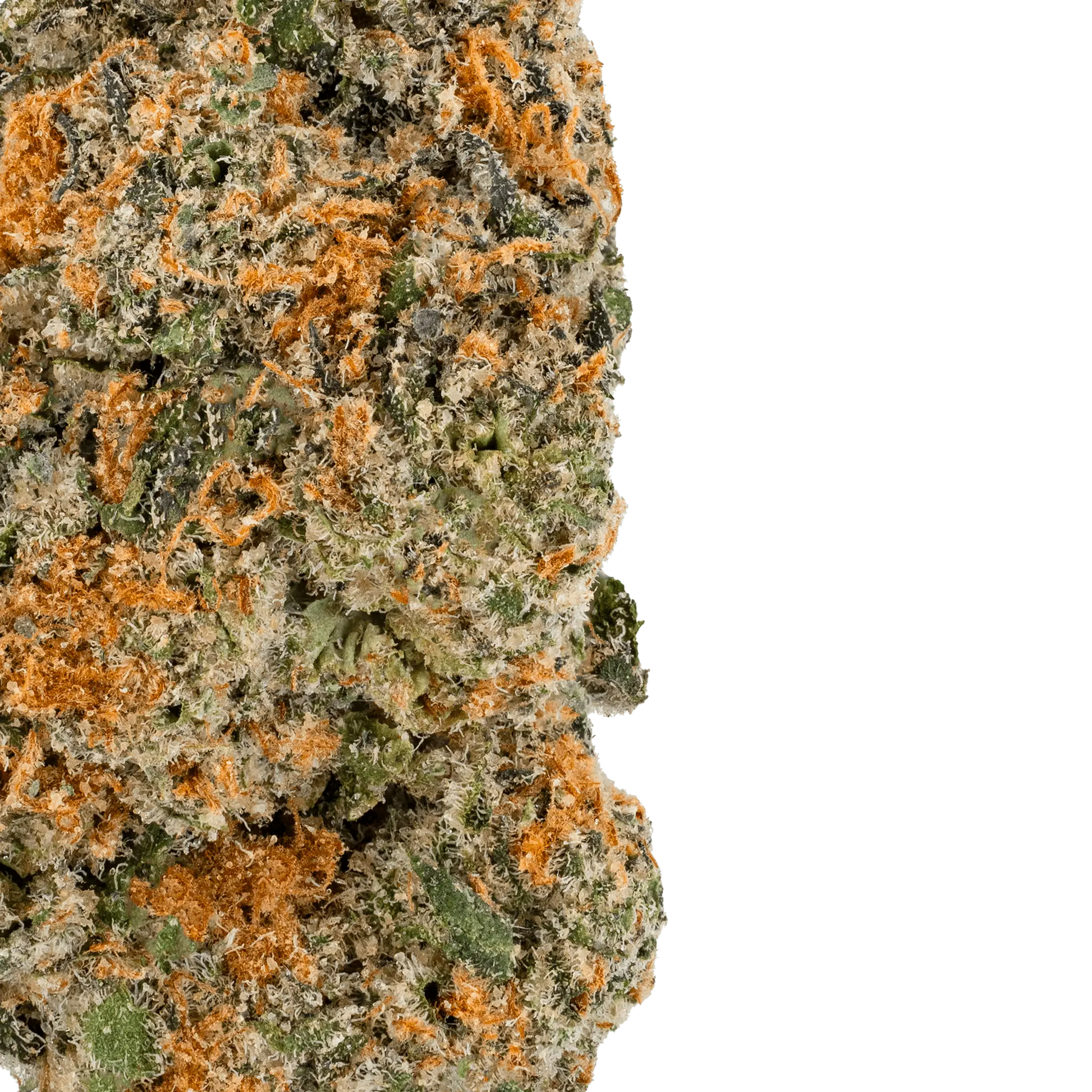 MAC – THCa Flower - Bay Smokes