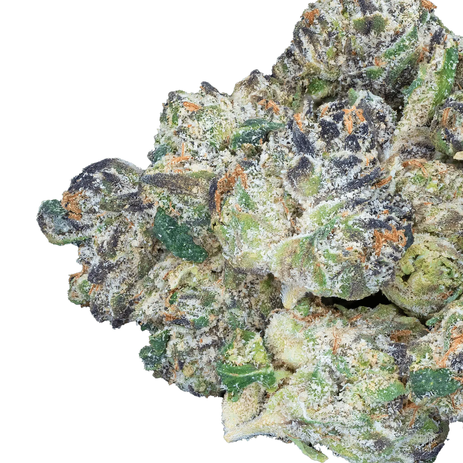 Bulk Exotic Smalls - Bay Smokes