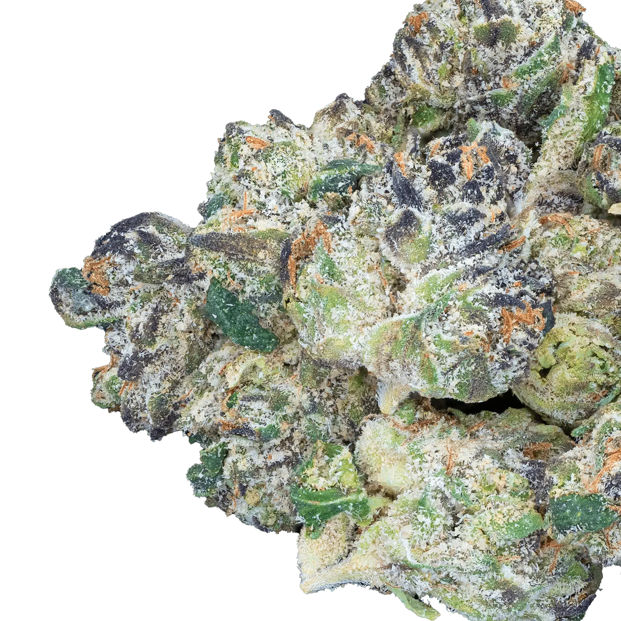 Bulk Exotic Smalls - Bay Smokes