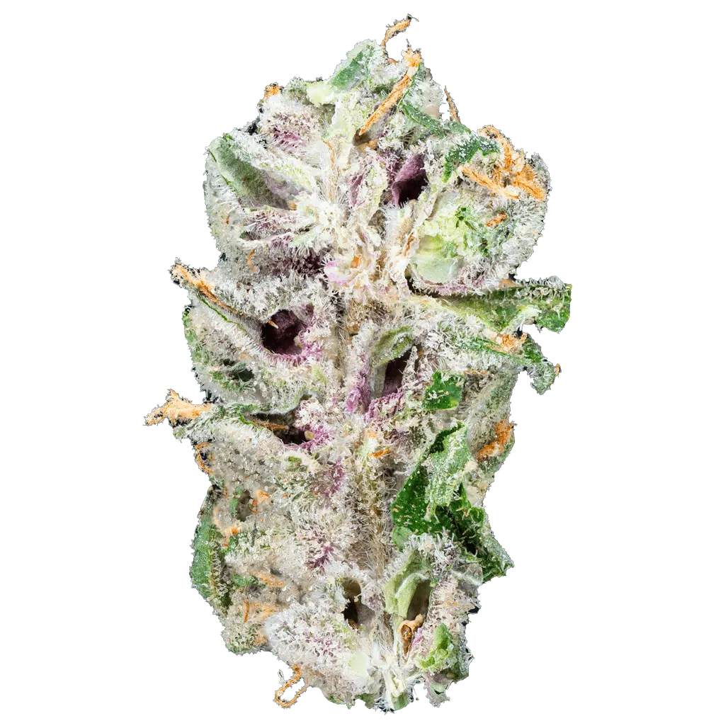 Alien ET - THCa Flower - Bay Smokes