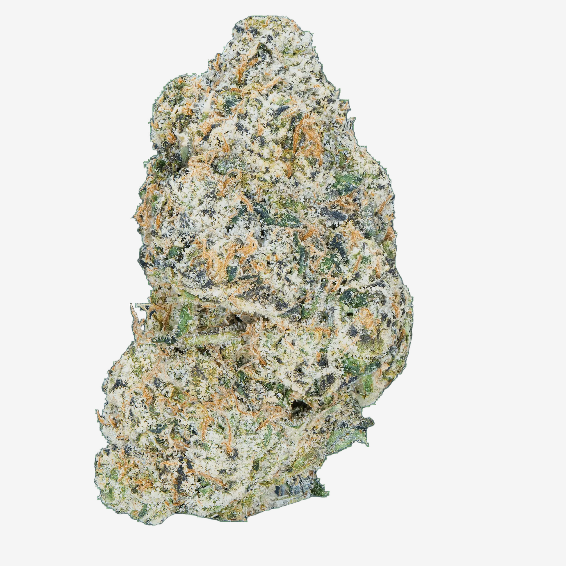 Tres Leches - THCa Flower - Bay Smokes