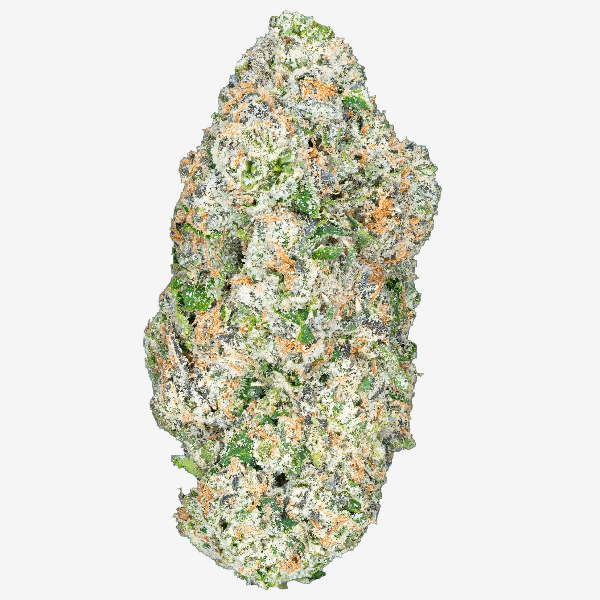 Blue Dream – THCa Flower - Bay Smokes