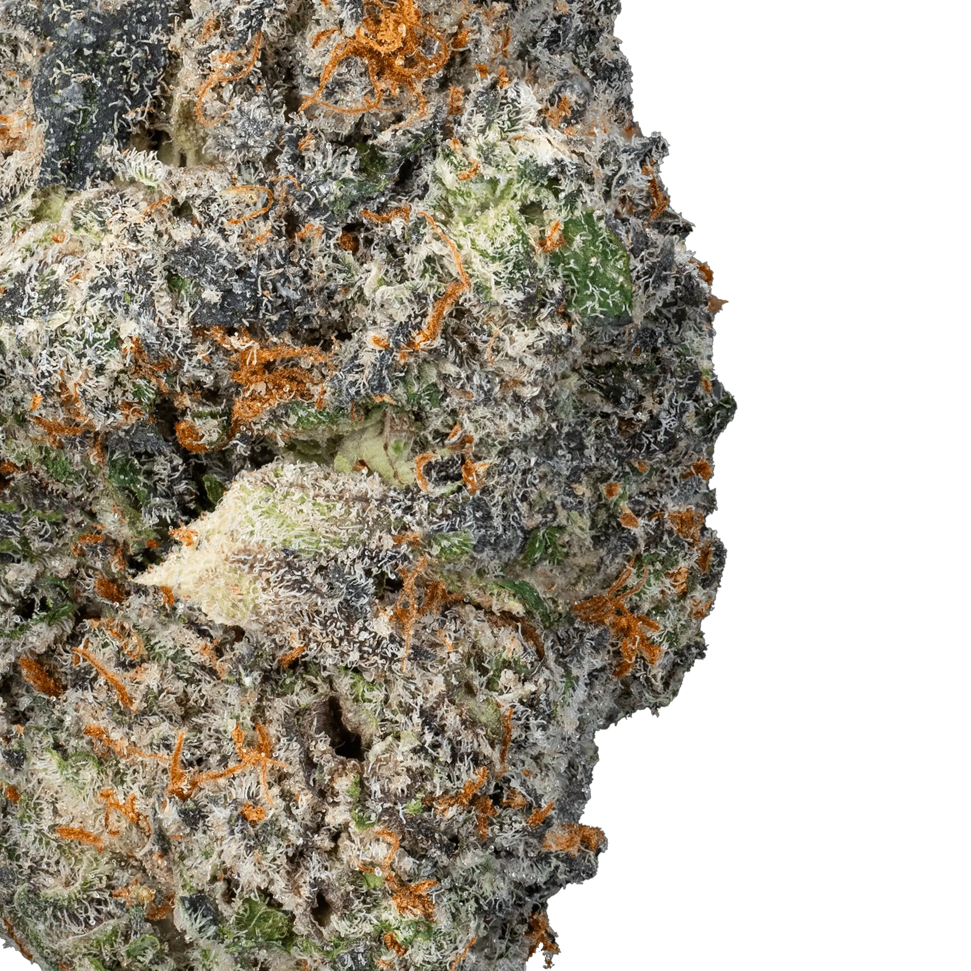 Space Junky – THCa Flower - Bay Smokes