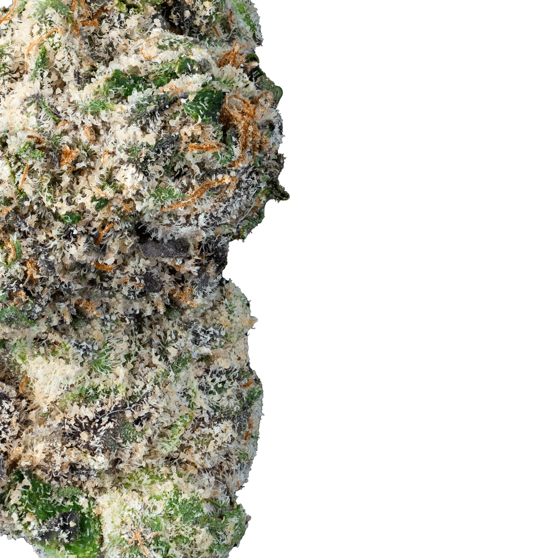 Lemon Runtz – THCa Flower - Bay Smokes