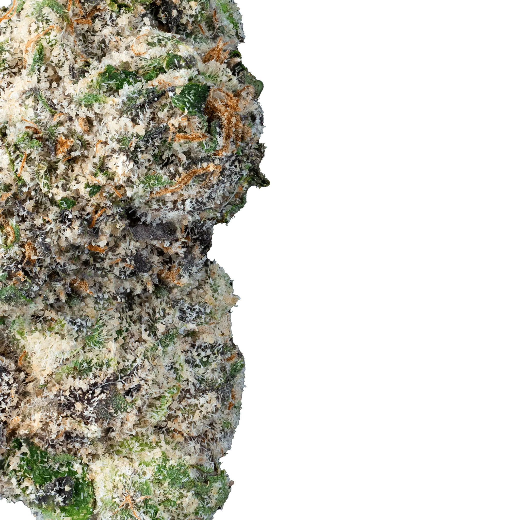 Lemon Runtz – THCa Flower - Bay Smokes