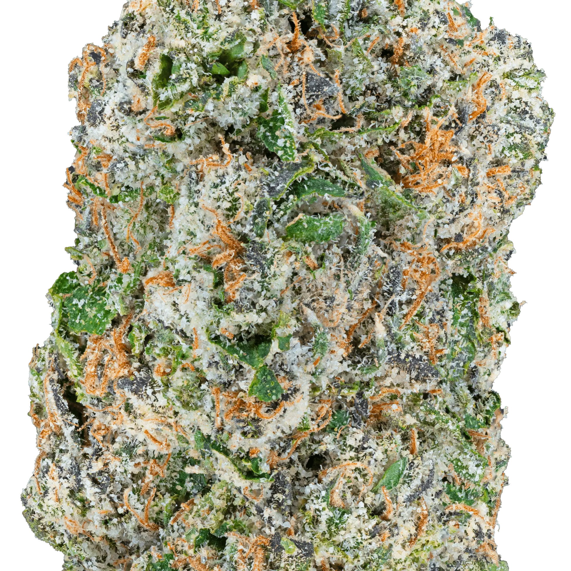 Blue Dream – THCa Flower - Bay Smokes
