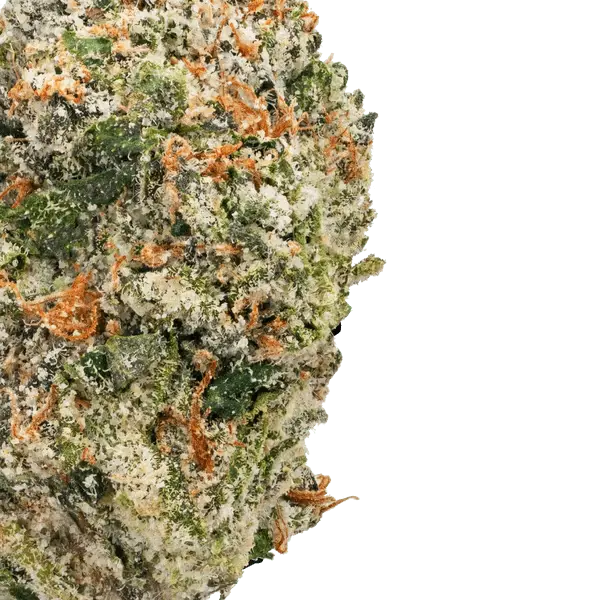 Cap Junky – THCa Flower - Bay Smokes