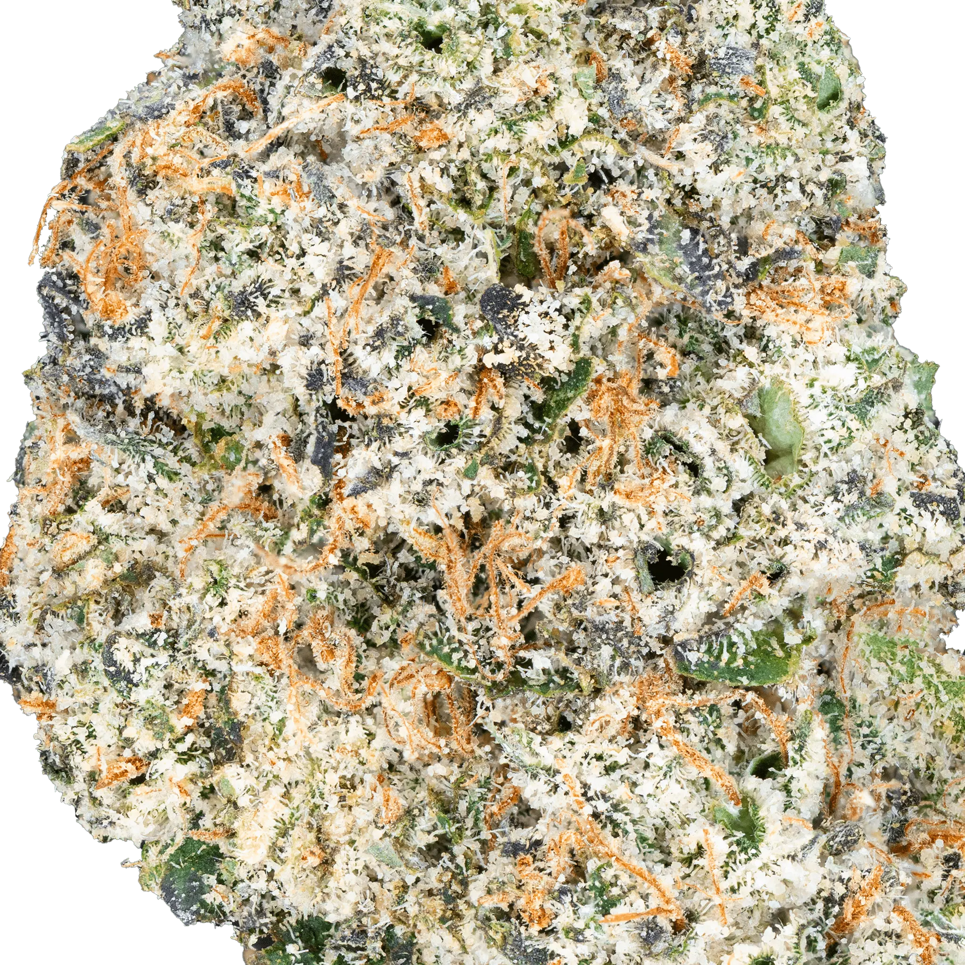 Thai Iced Tea - THCa Flower - Bay Smokes