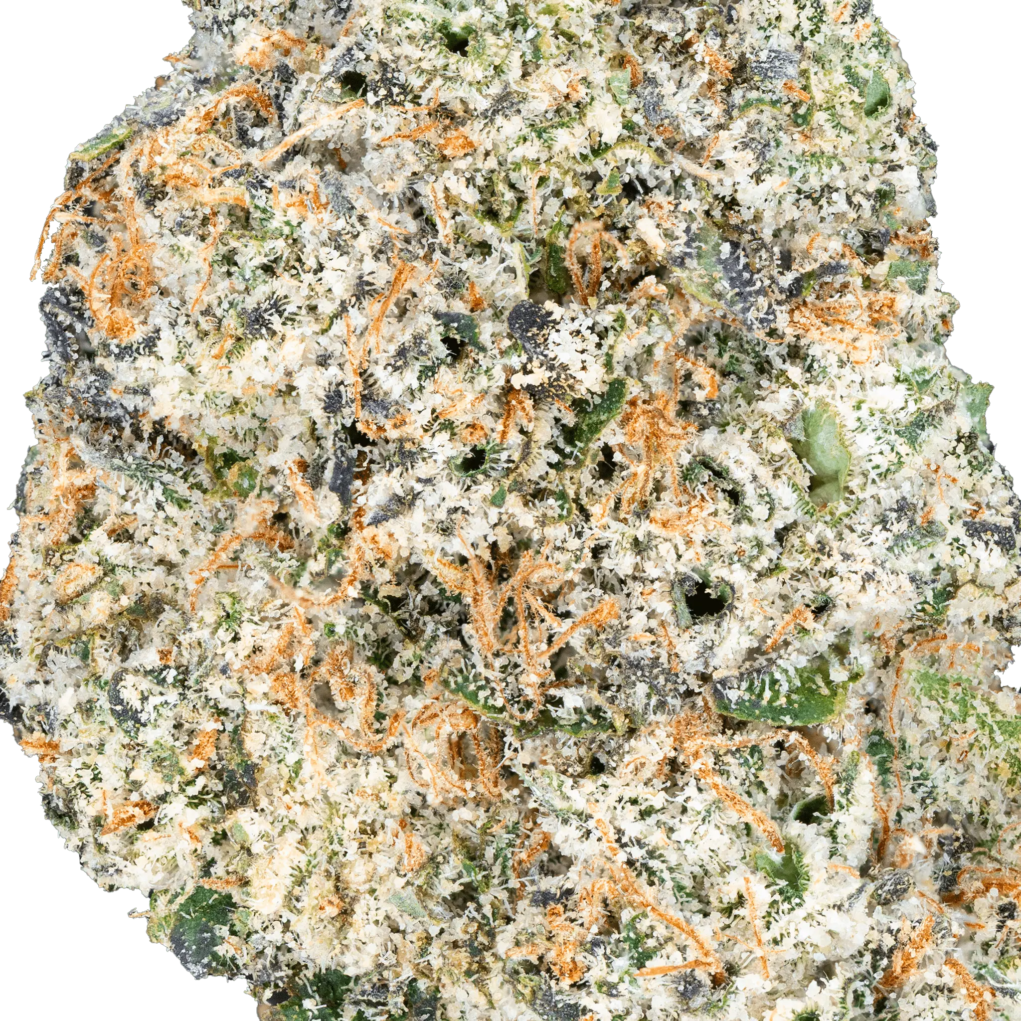 Thai Iced Tea - THCa Flower - Bay Smokes