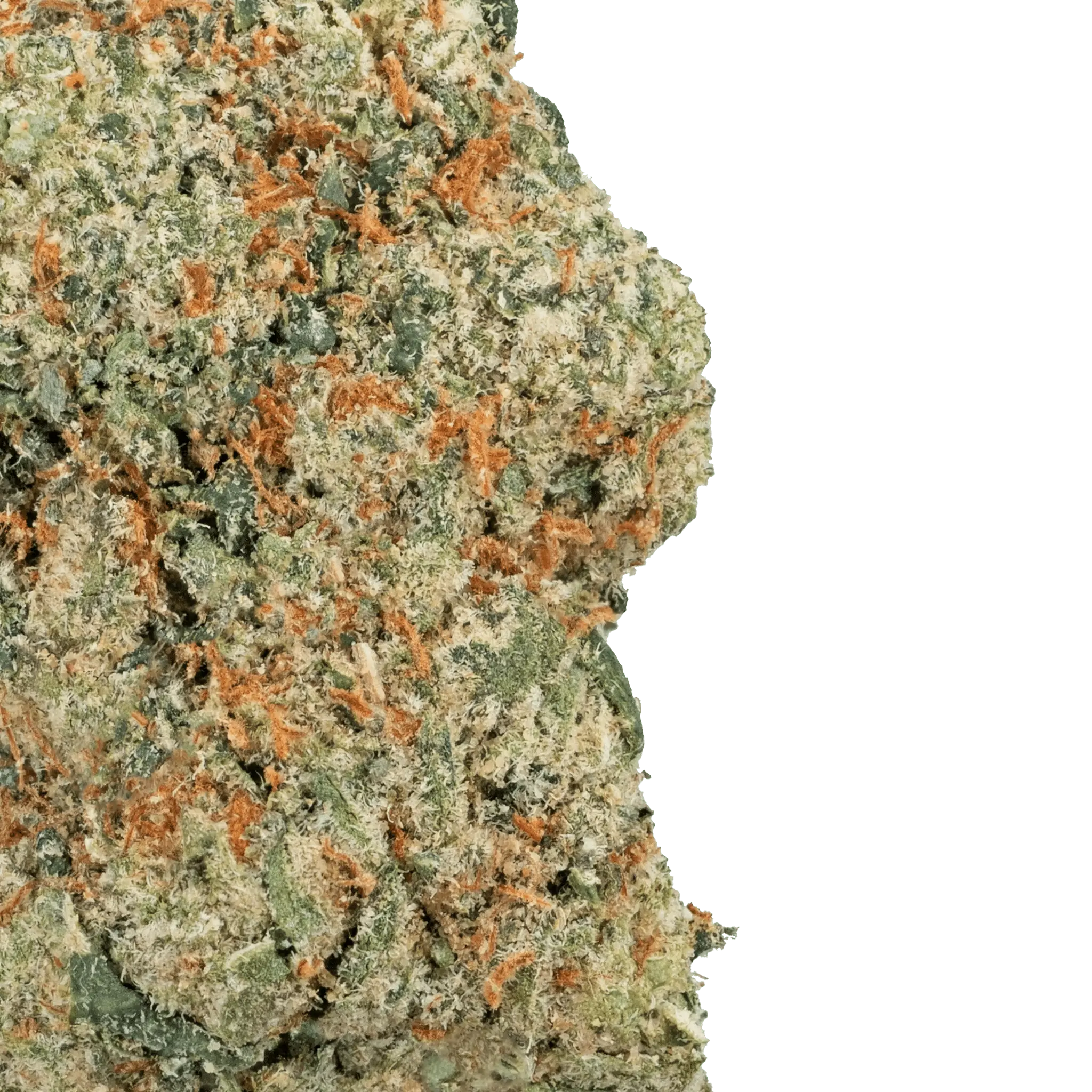 Apple Fritter – THCa Flower - Bay Smokes