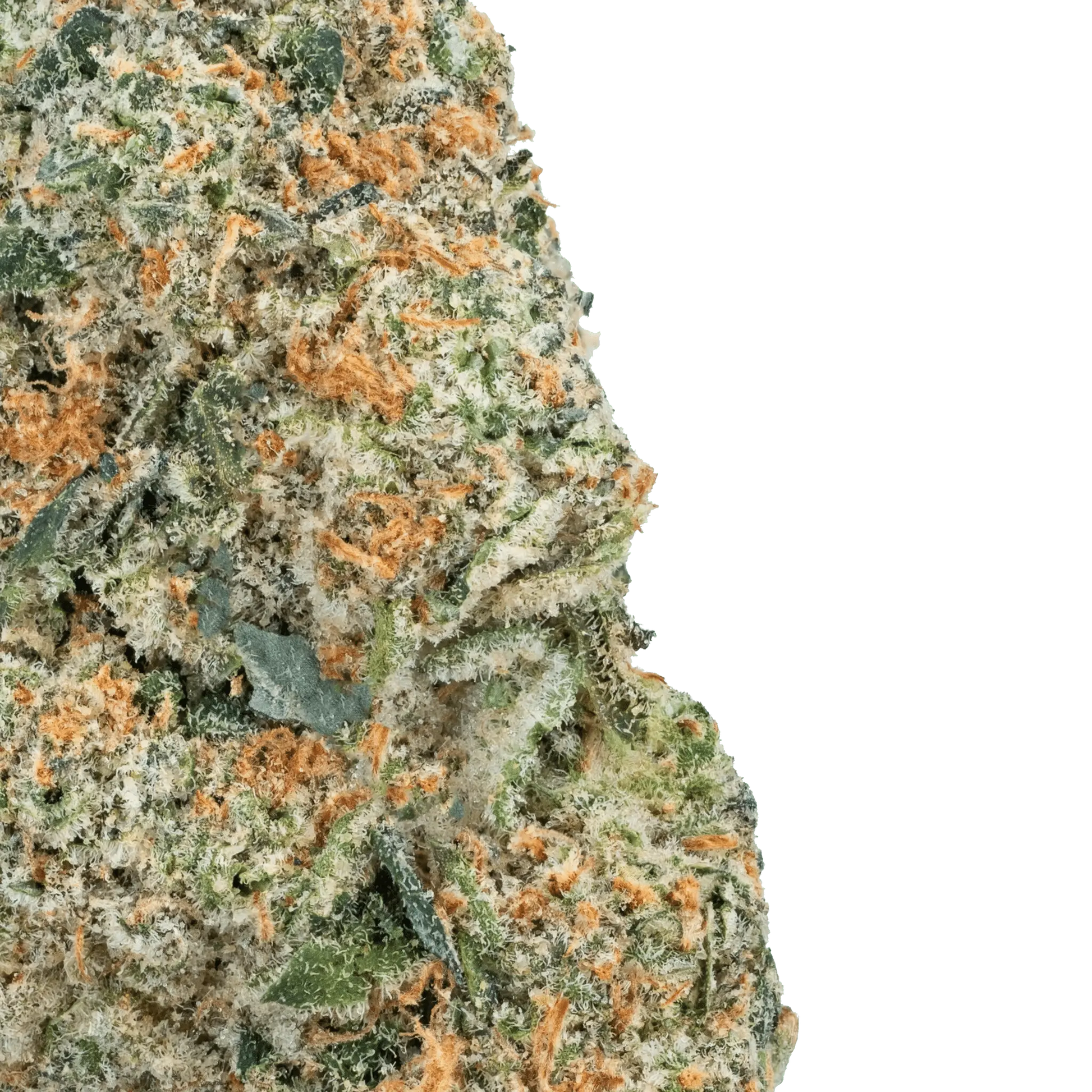 Zoap – THCa Flower - Bay Smokes