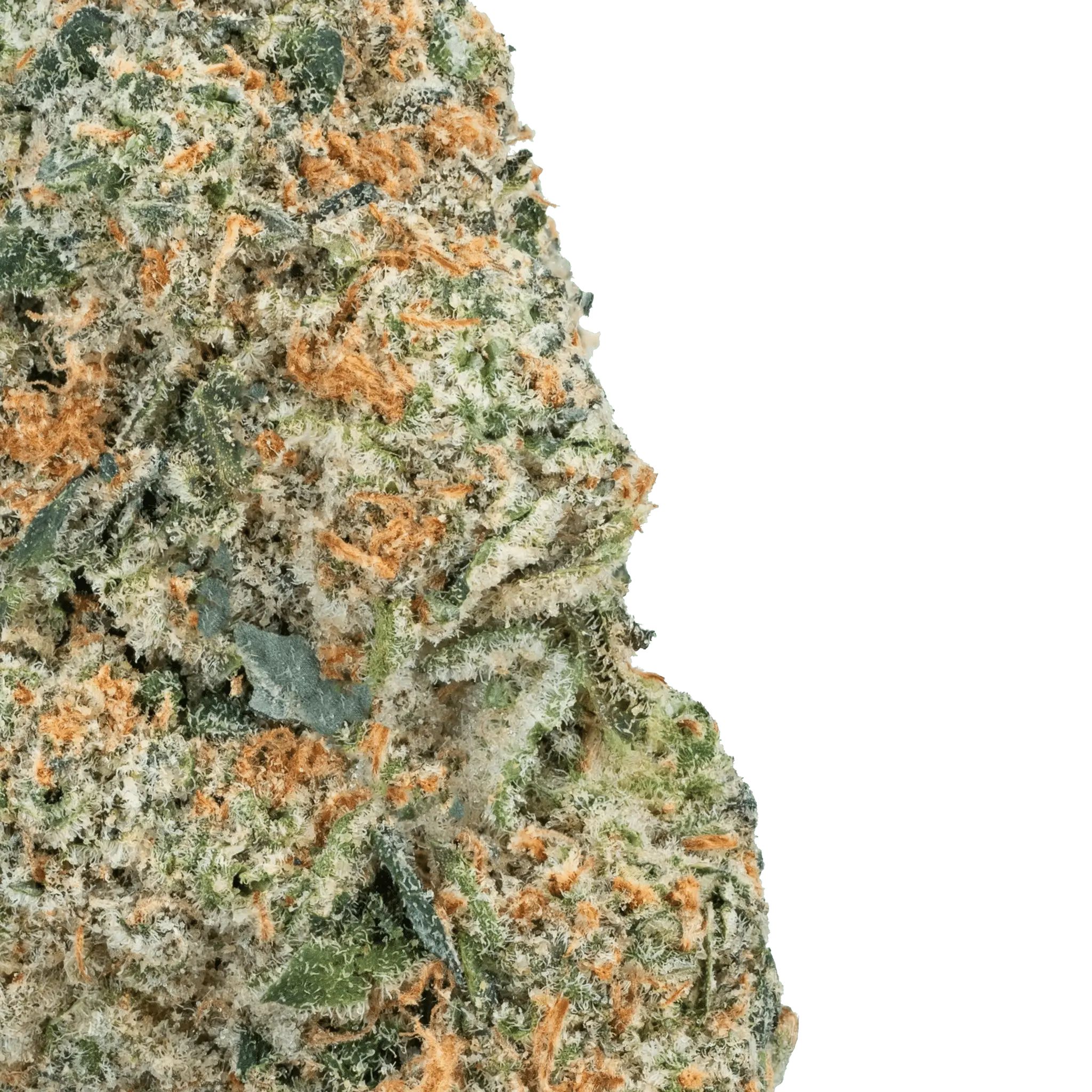 Zoap – THCa Flower - Bay Smokes