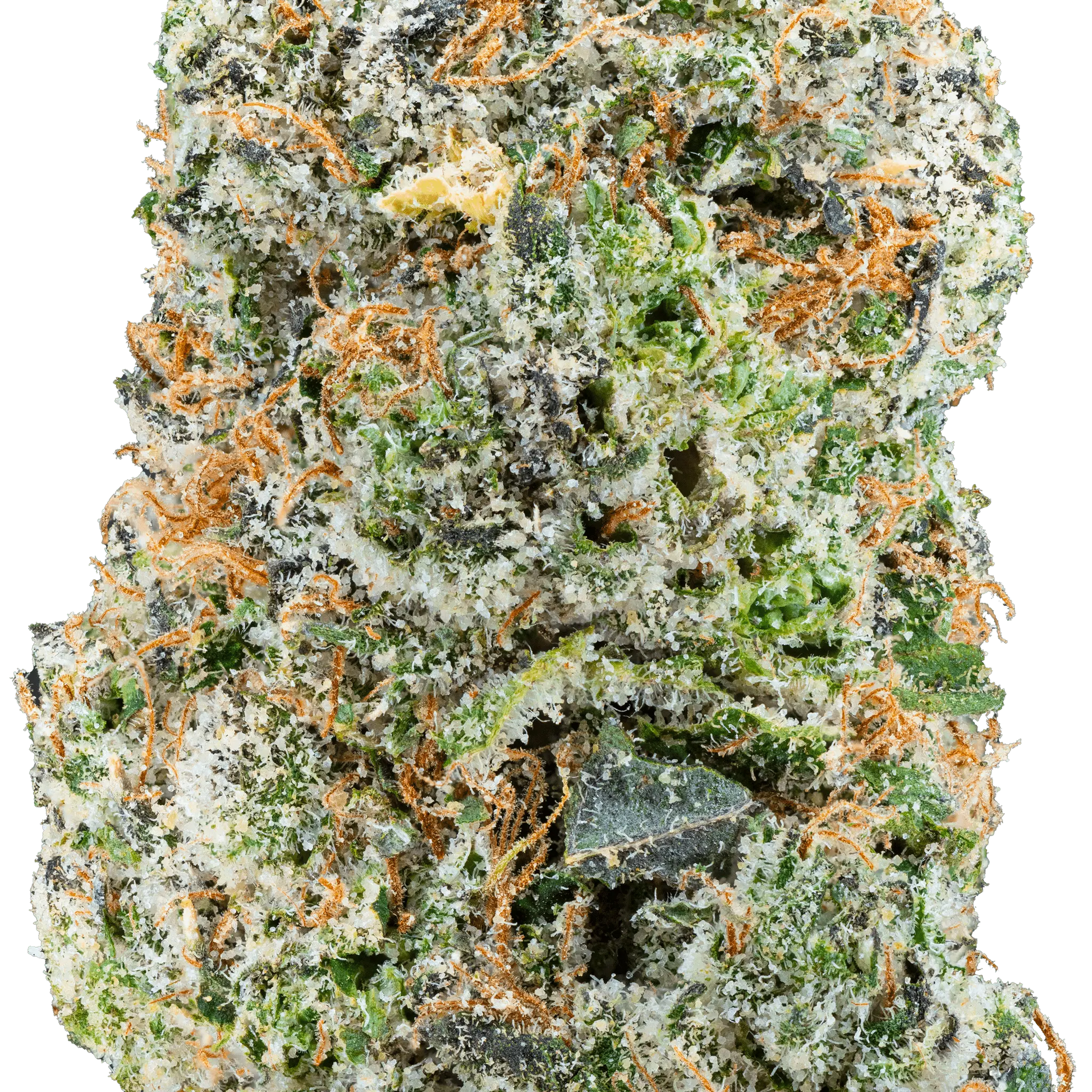 Zoap – THCa Flower - Bay Smokes