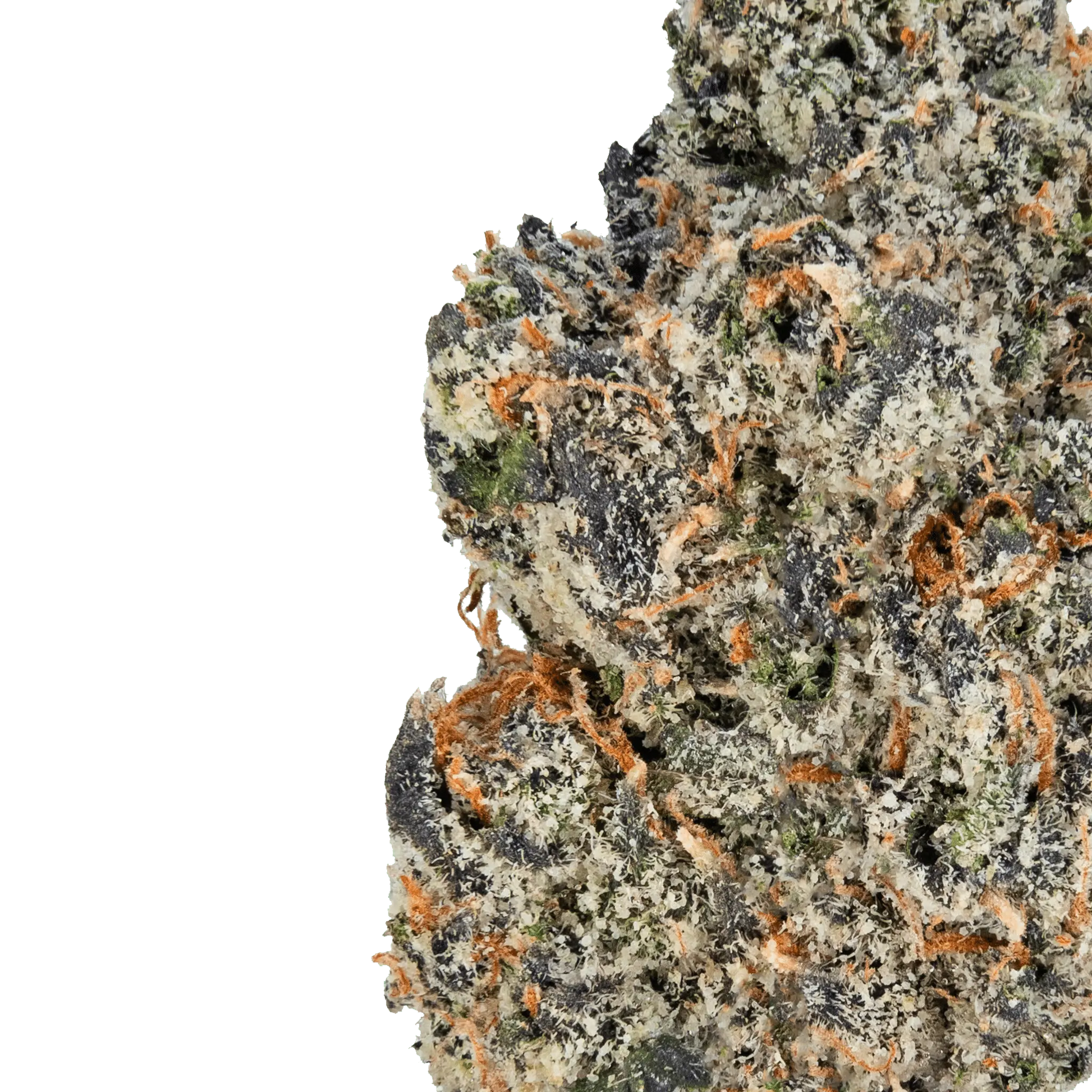 Gelato – THCa Flower - Bay Smokes