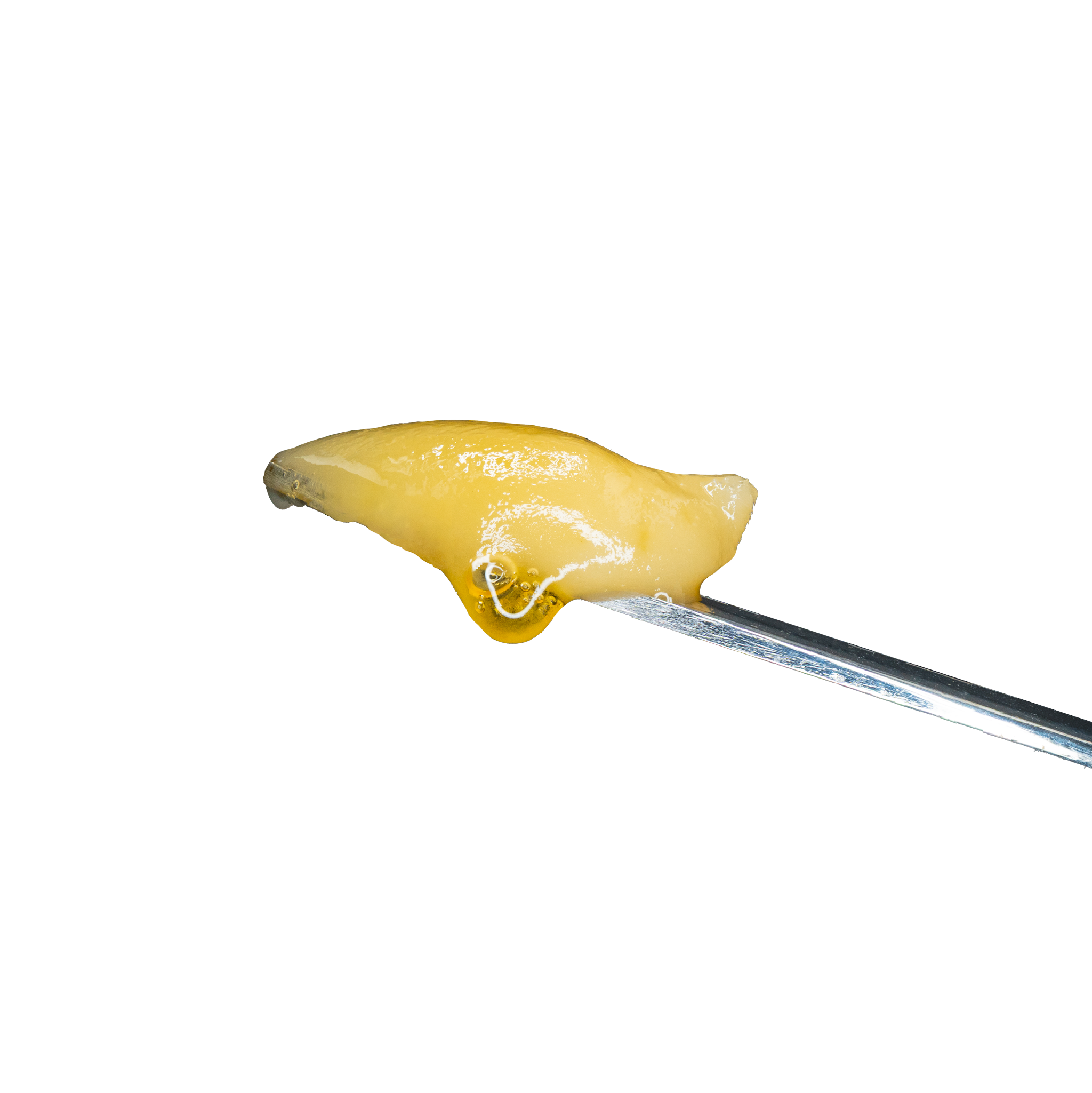 Donny Burger Live Hash Rosin