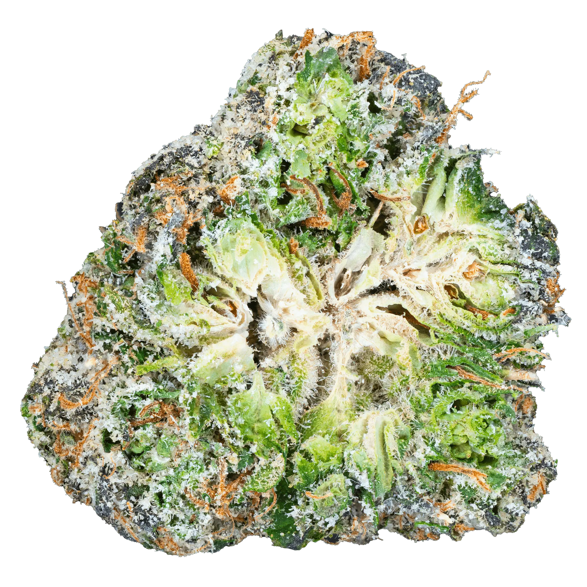 Zoap – THCa Flower - Bay Smokes