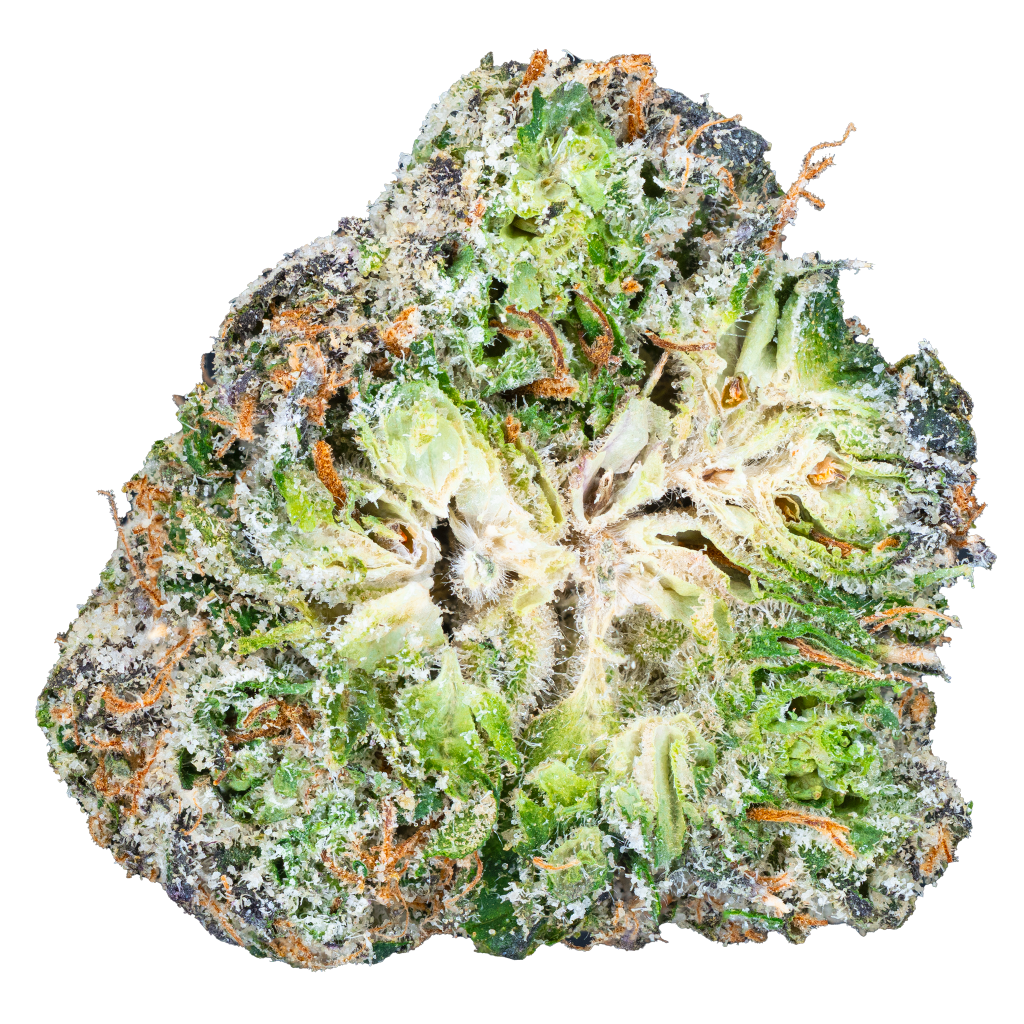 Glockbuster - Goonfellas