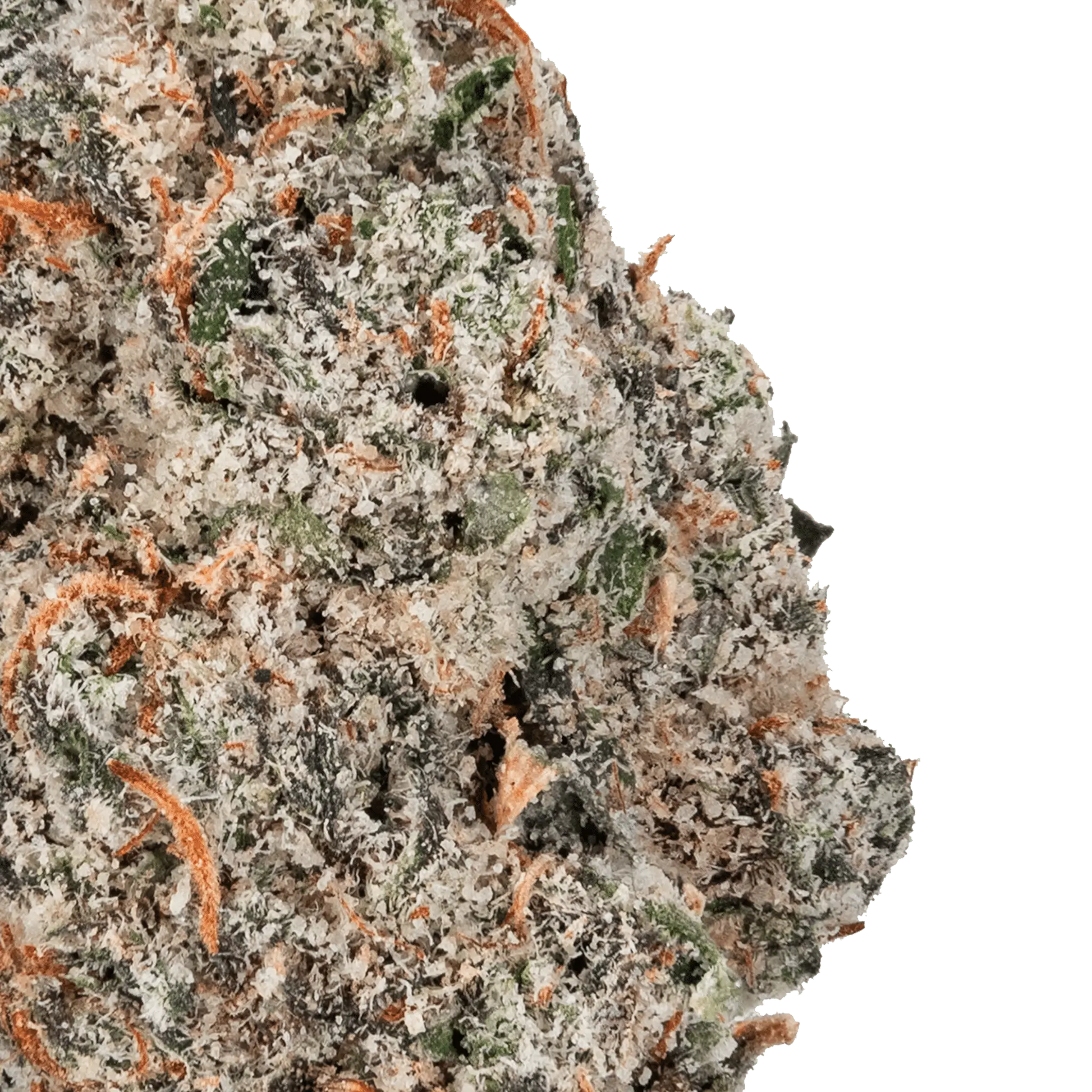 Permanent Marker - THCa Flower - Bay Smokes