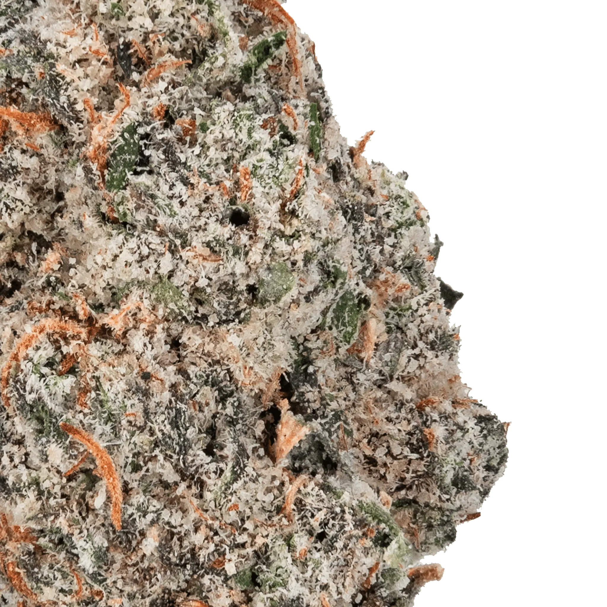 Permanent Marker - THCa Flower - Bay Smokes