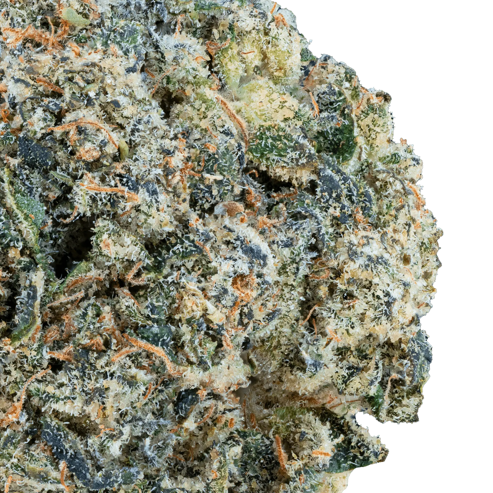 Banana Zkittles – THCa Flower - Bay Smokes