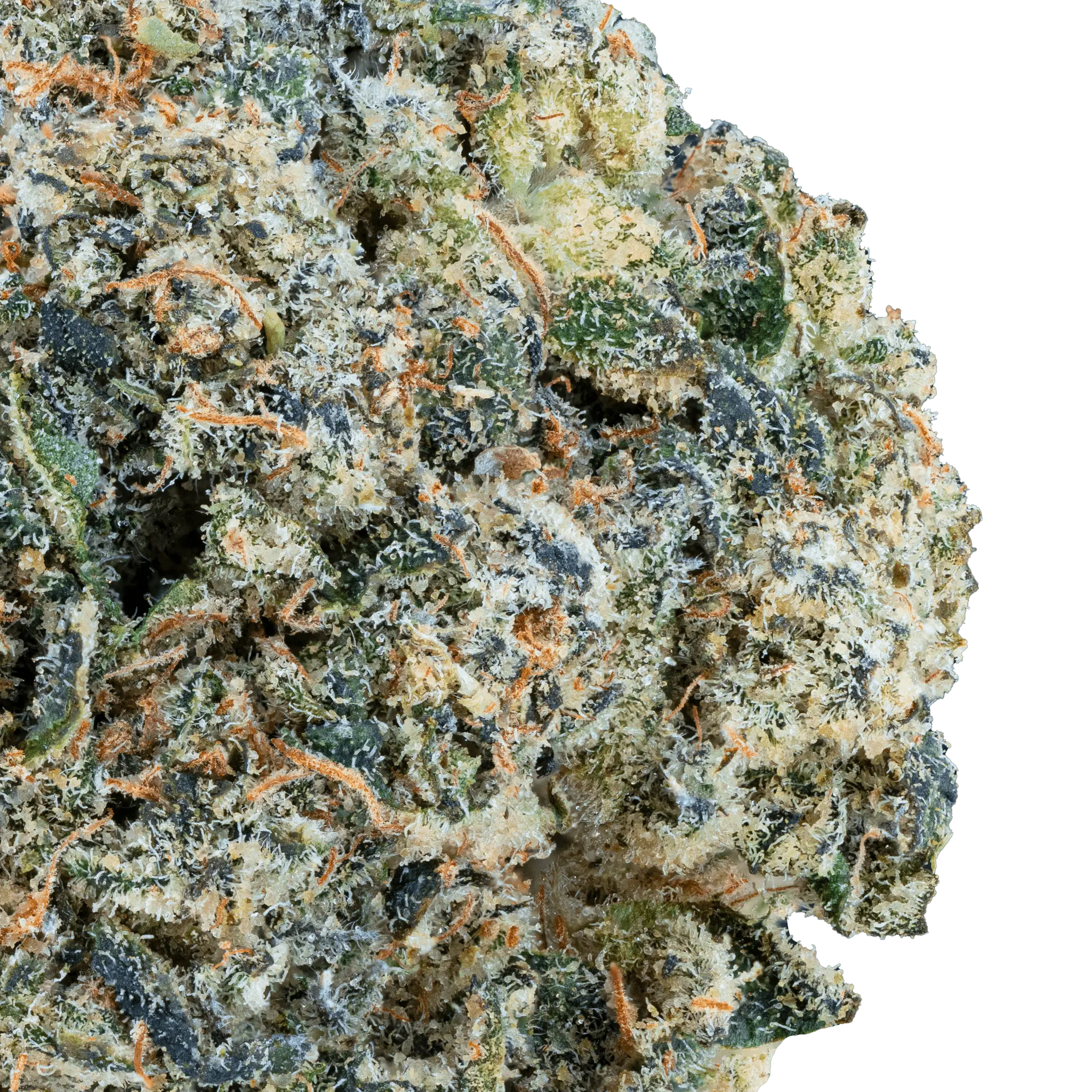 Banana Zkittles – THCa Flower - Bay Smokes