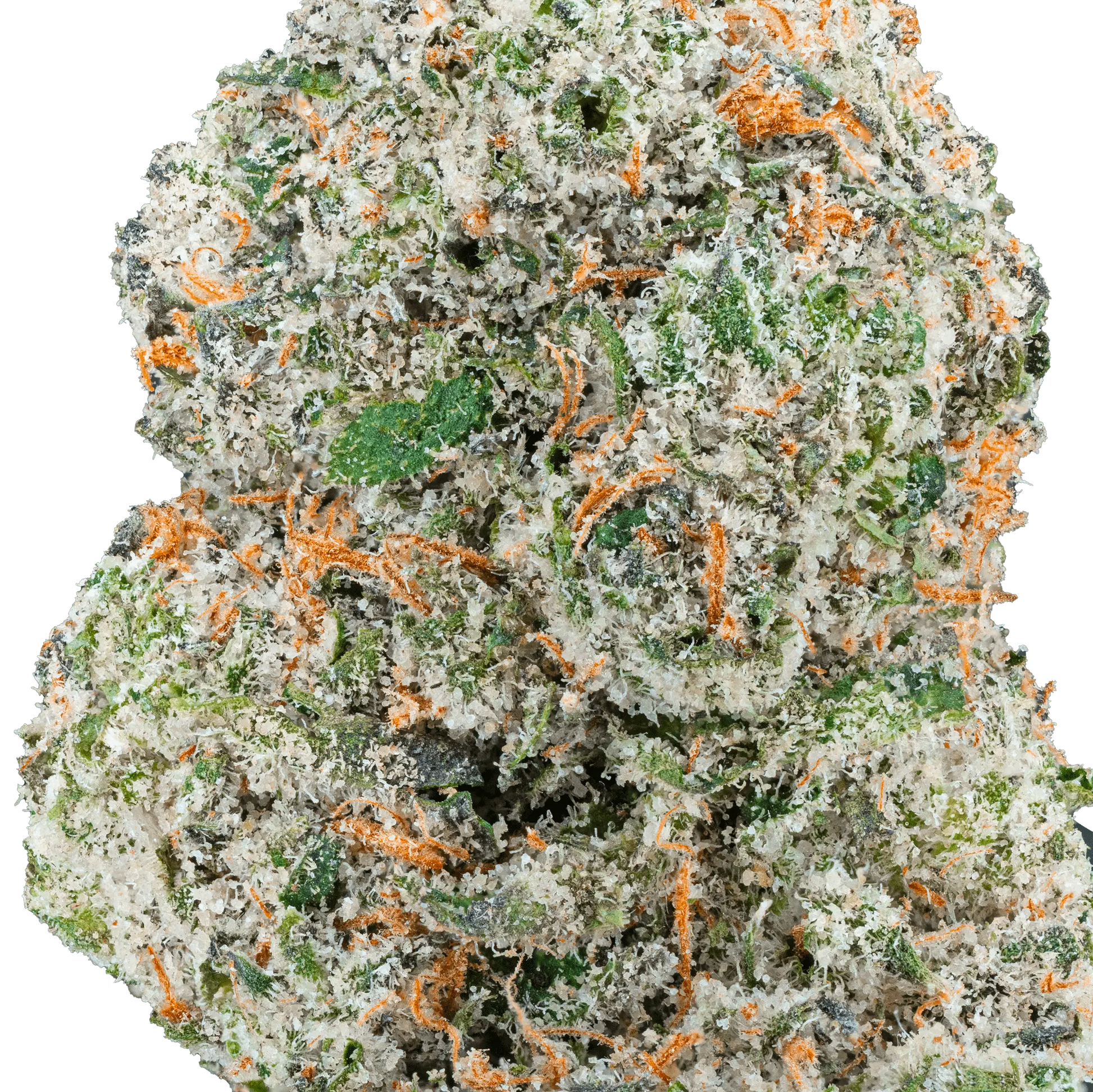 Cap Junky – THCa Flower - Bay Smokes