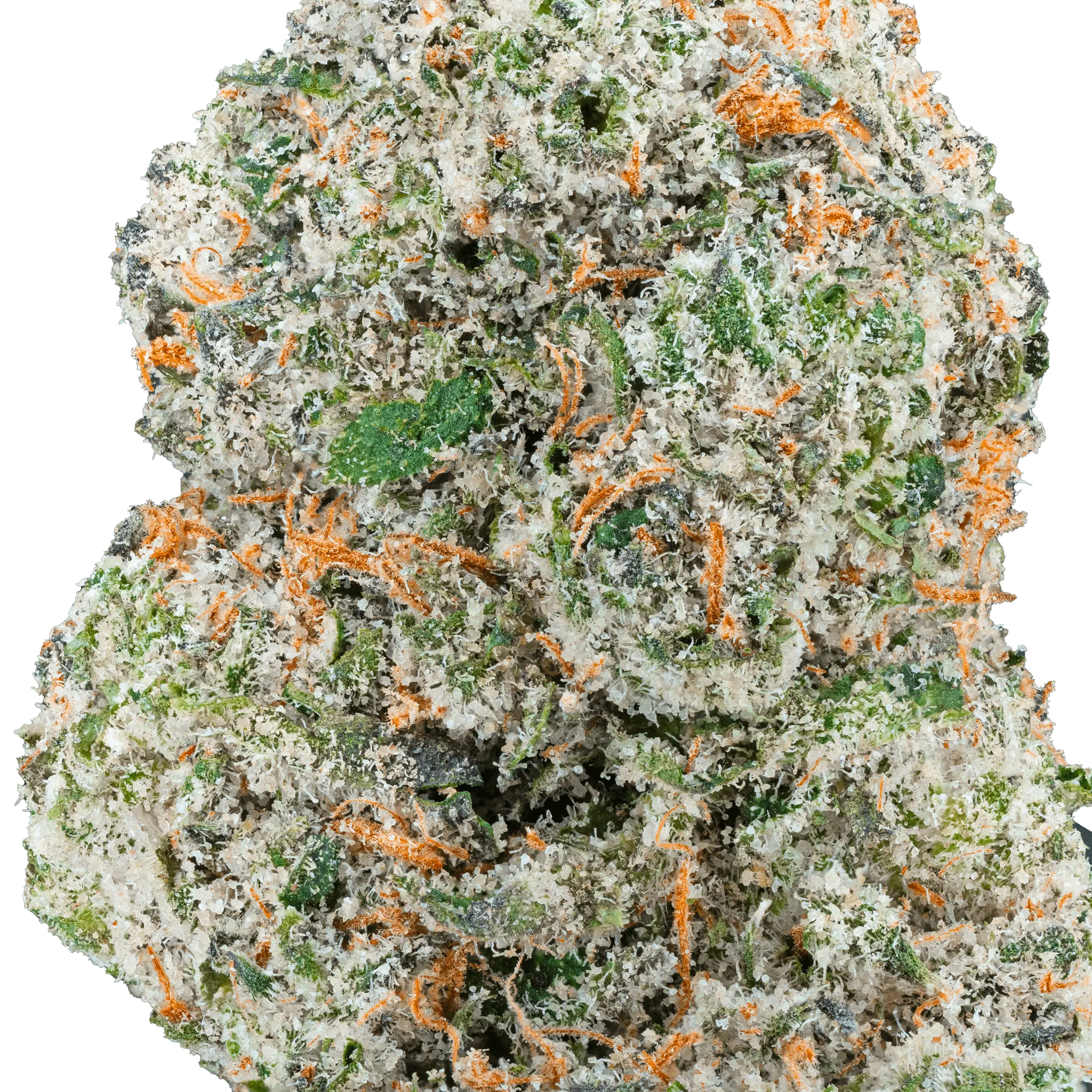 Cap Junky – THCa Flower - Bay Smokes