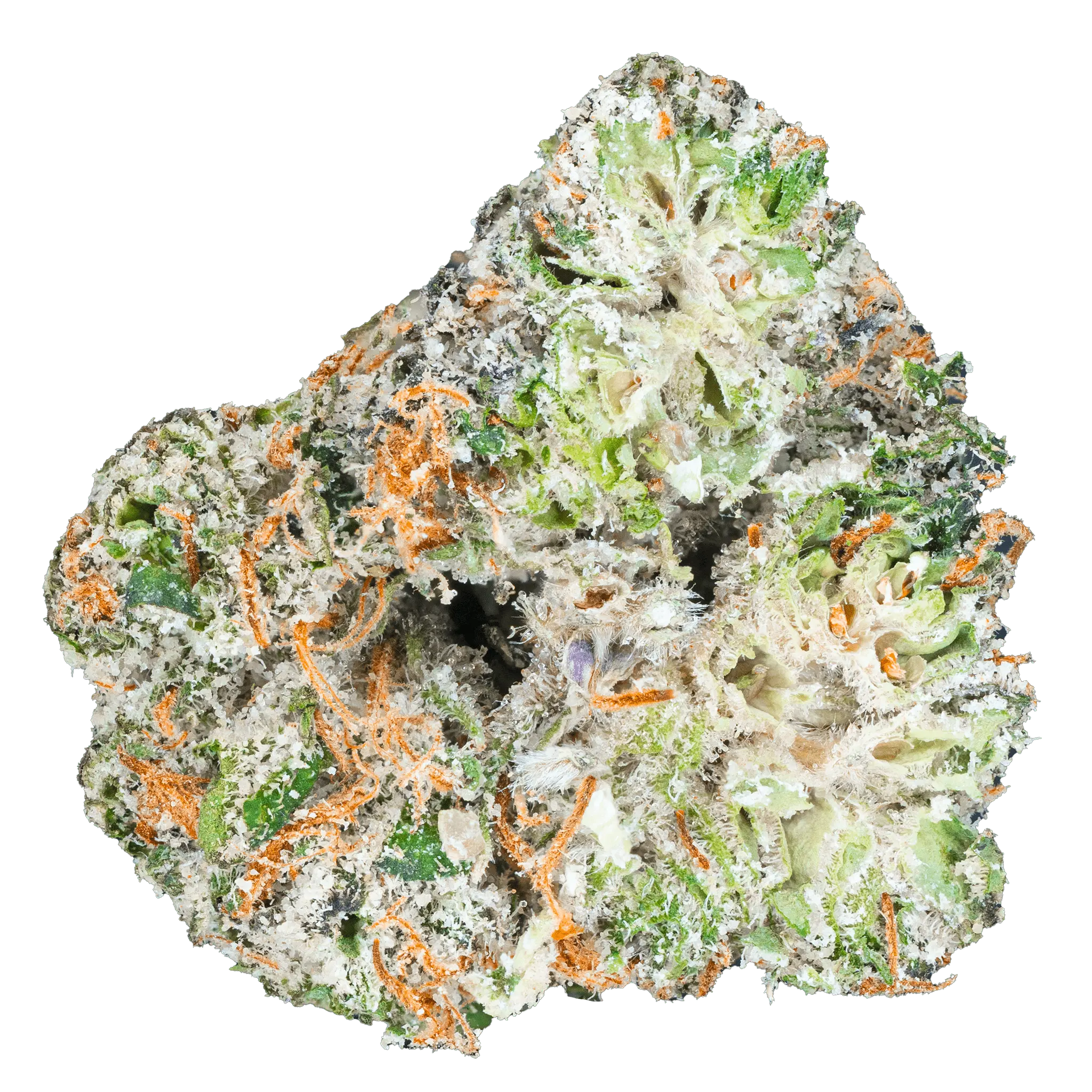 Cap Junky – THCa Flower - Bay Smokes