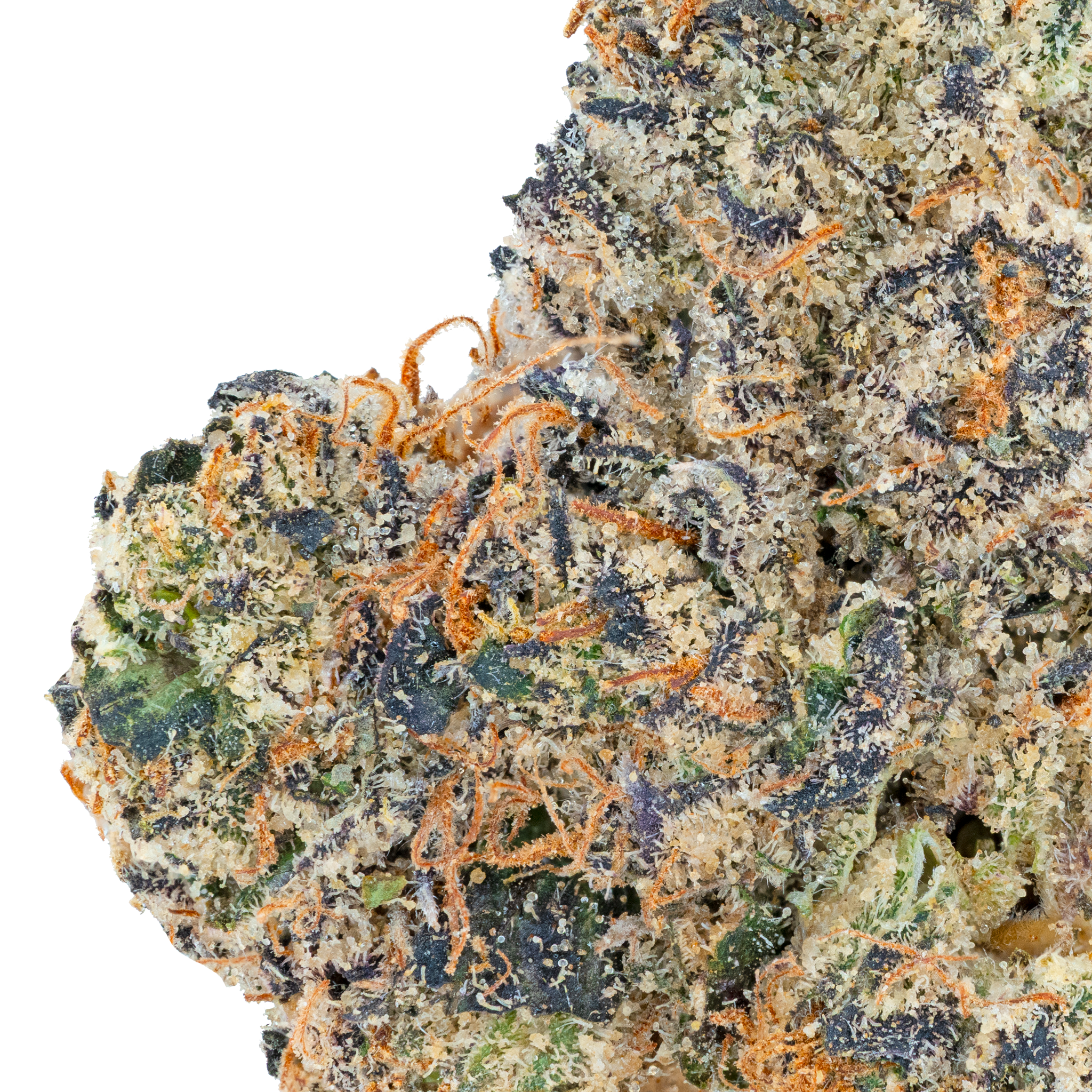 Thai Iced Tea- THCa Flower
