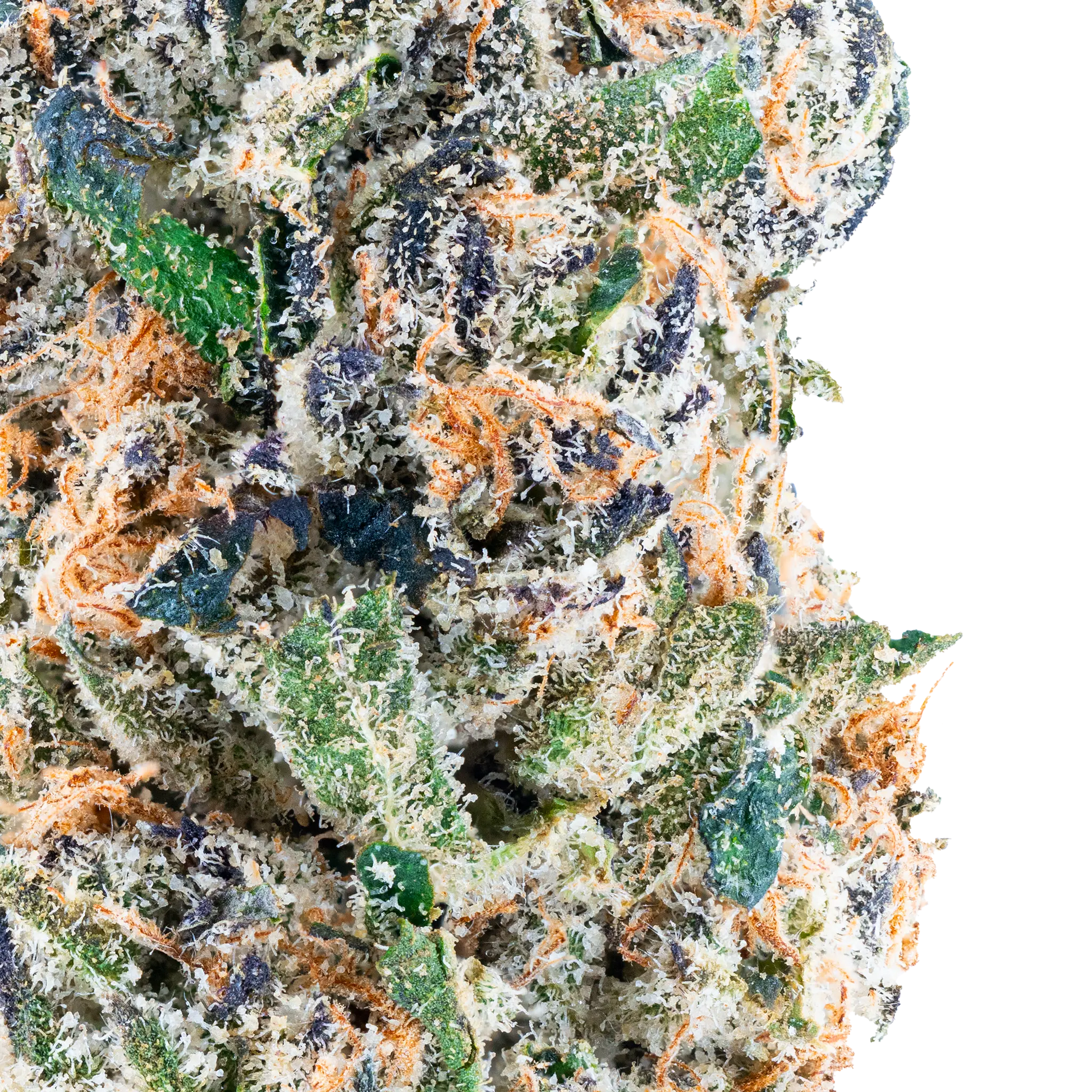 Tres Leches THCa Flower Bay Smokes