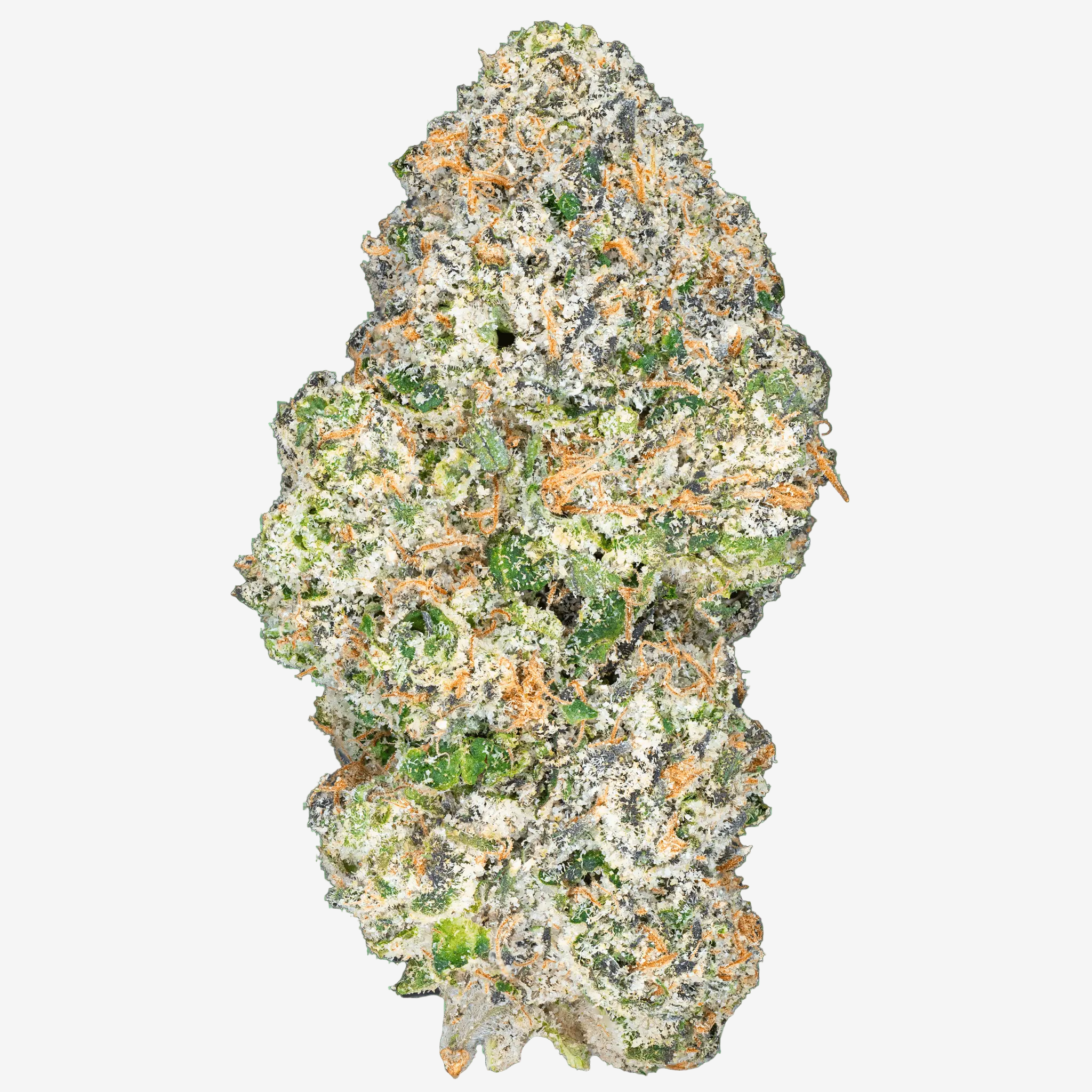 Apple Fritter – THCa Flower - Bay Smokes