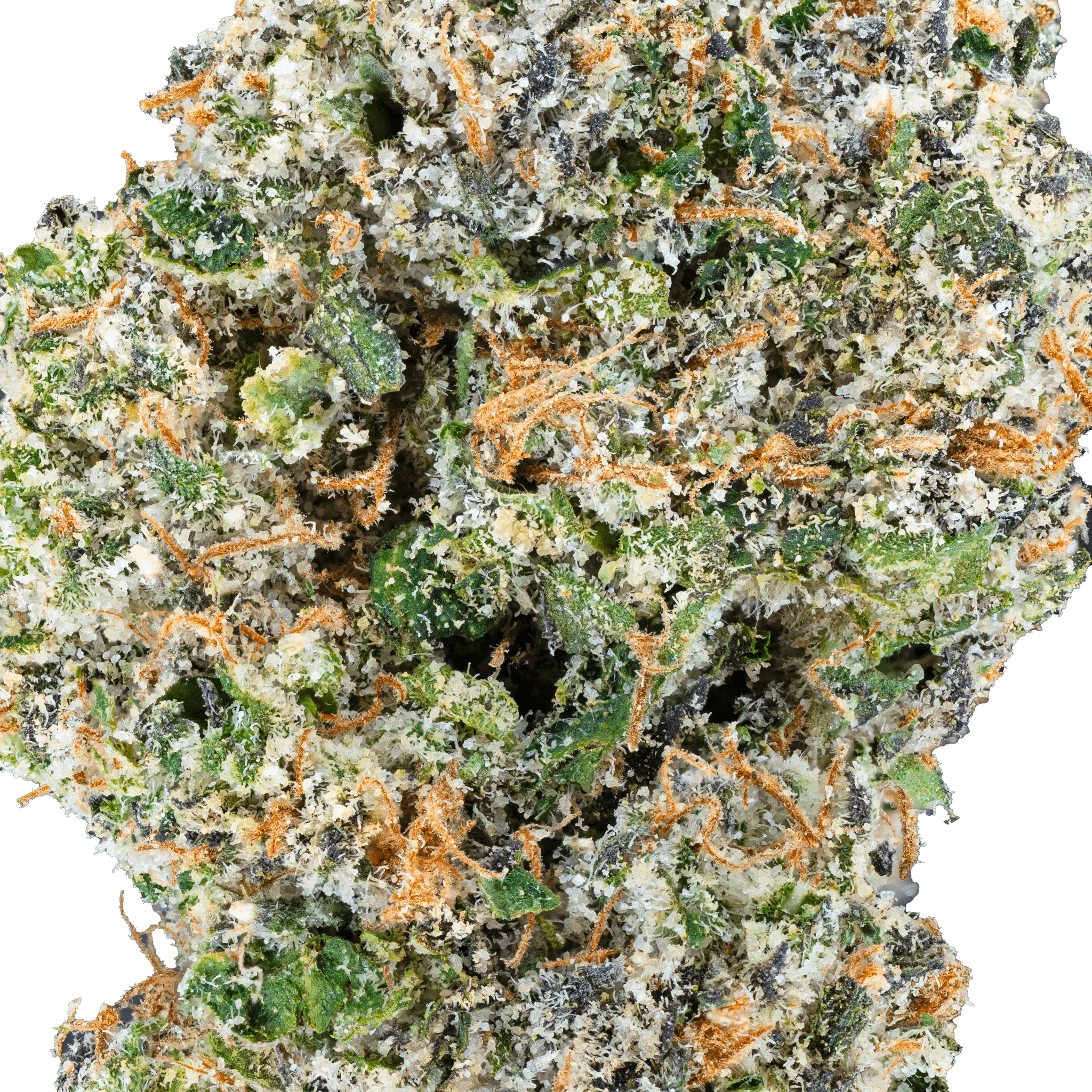 Apple Fritter – THCa Flower - Bay Smokes