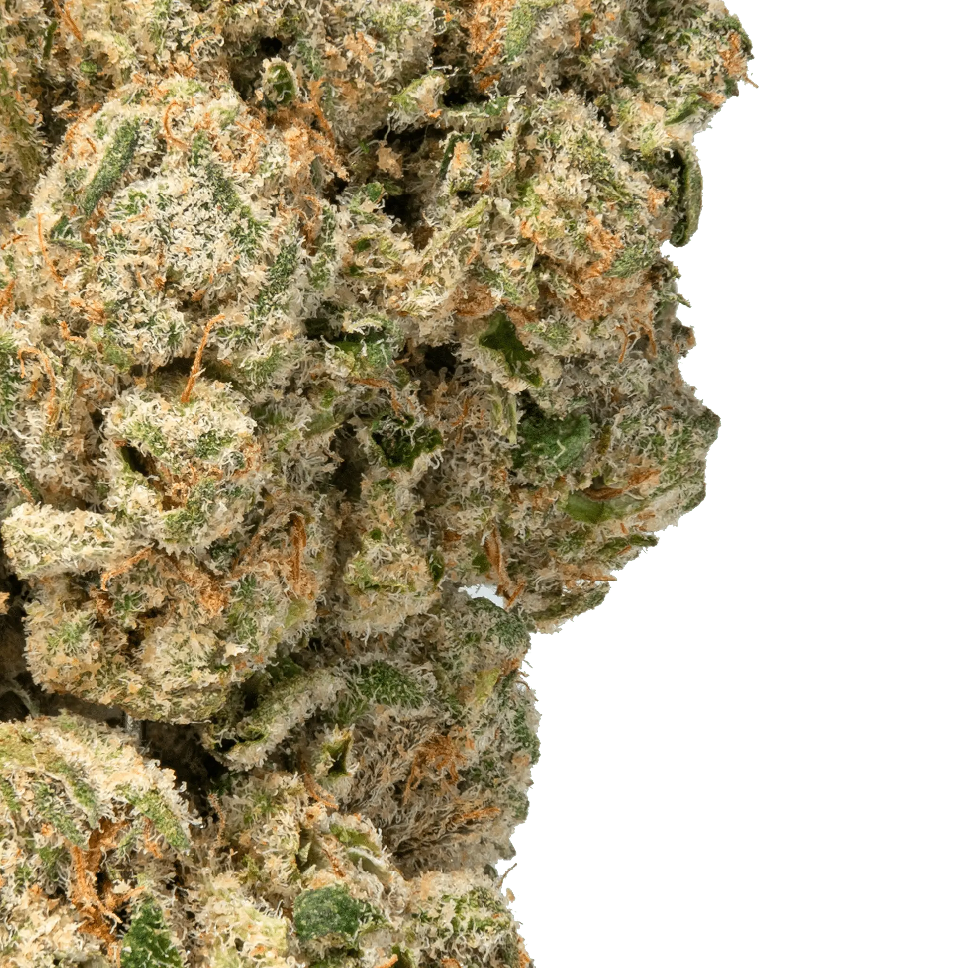 White Cherry Gelato Strain - Bay Smokes