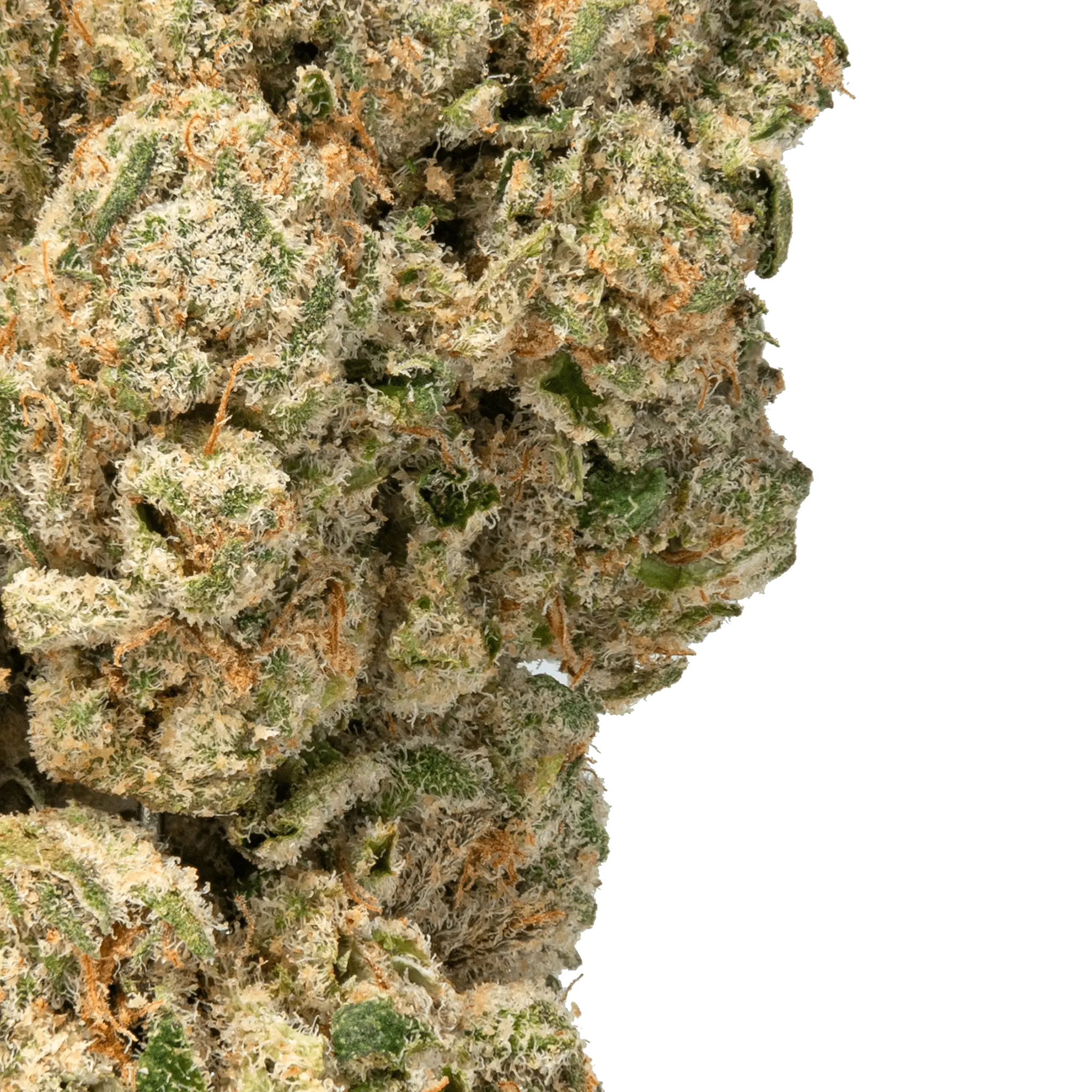 White Cherry Gelato Strain - Bay Smokes