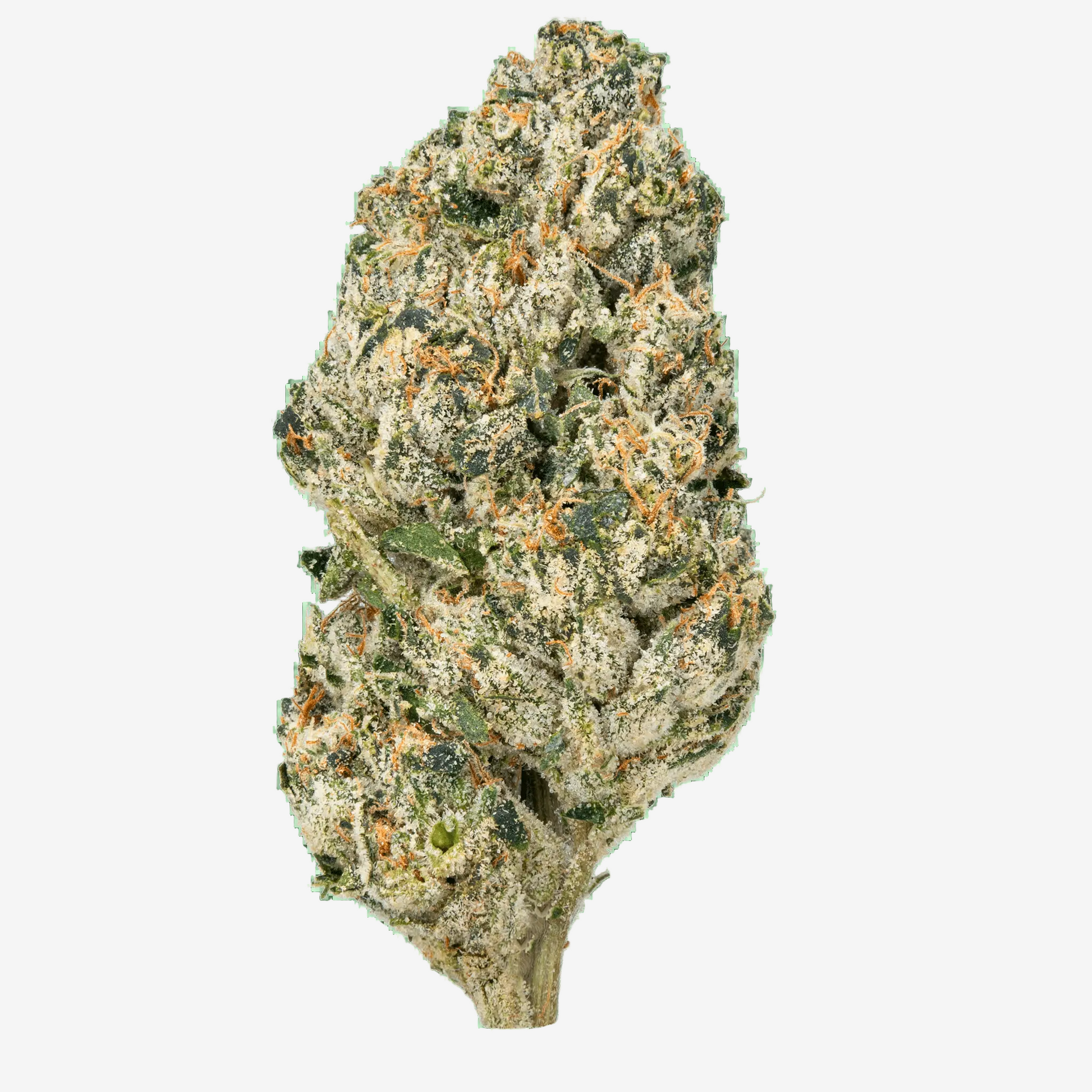 Bulk MixLight Flower - Bay Smokes