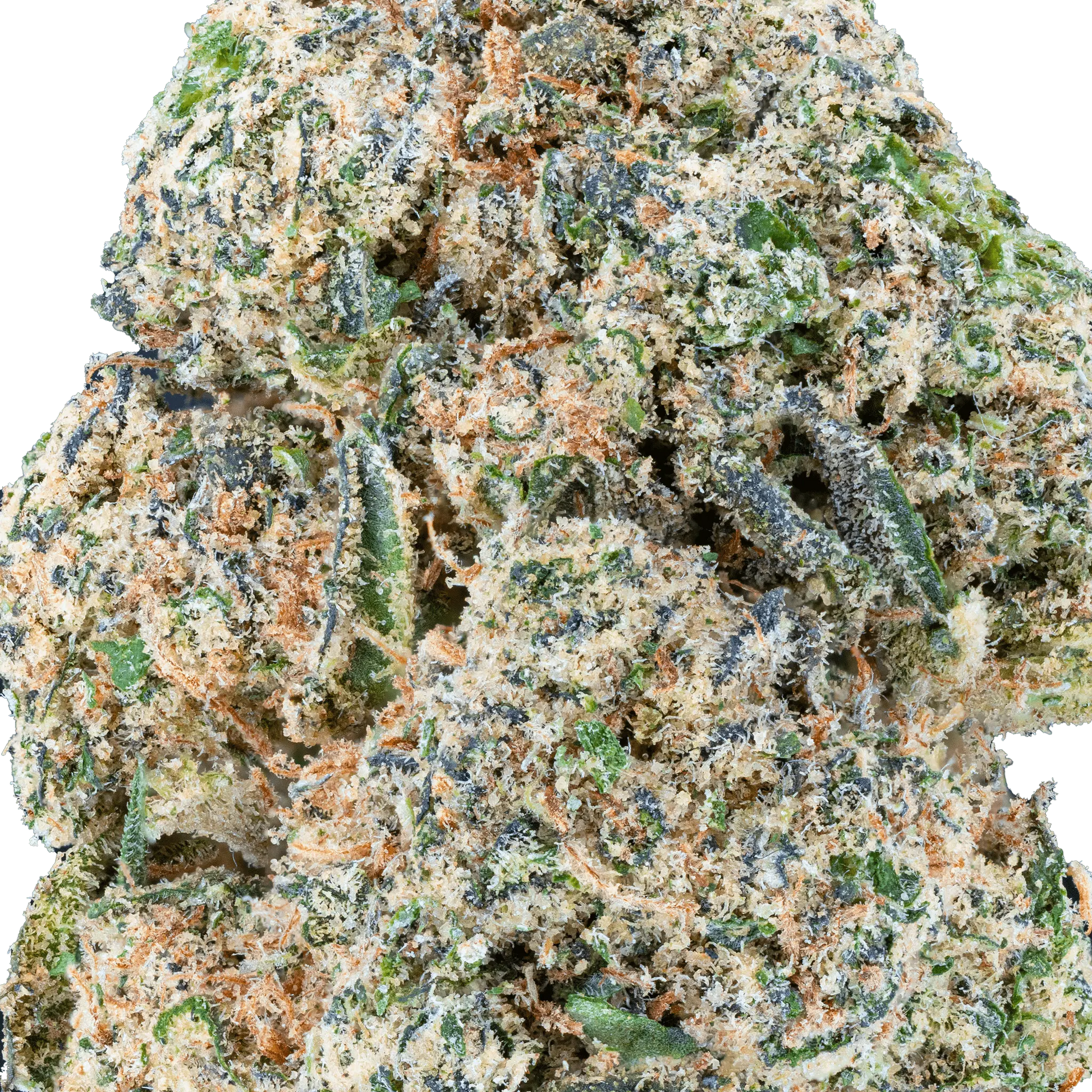 Gelato Paloma - THCa Flower - Bay Smokes