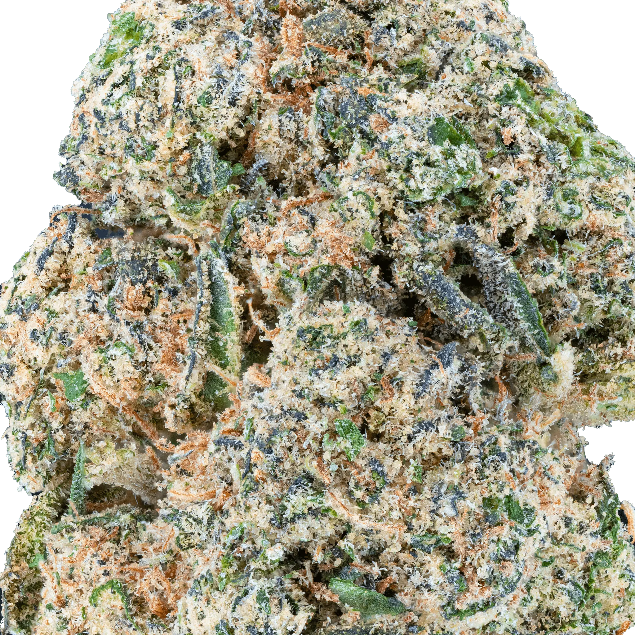 Gelato Paloma - THCa Flower - Bay Smokes