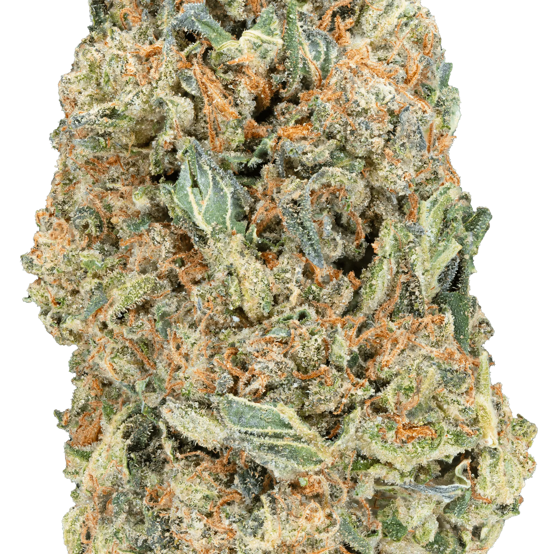 Greenhouse THCa Flower - Bay Smokes