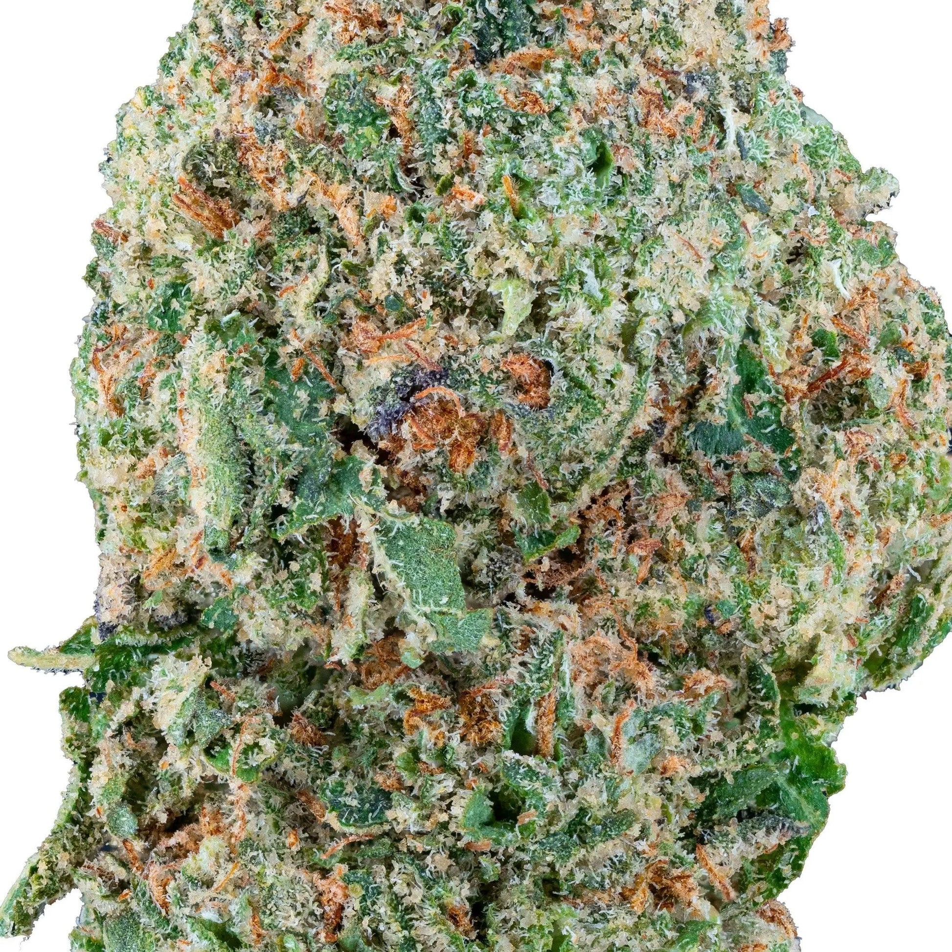 Gelato – THCa Flower - Bay Smokes