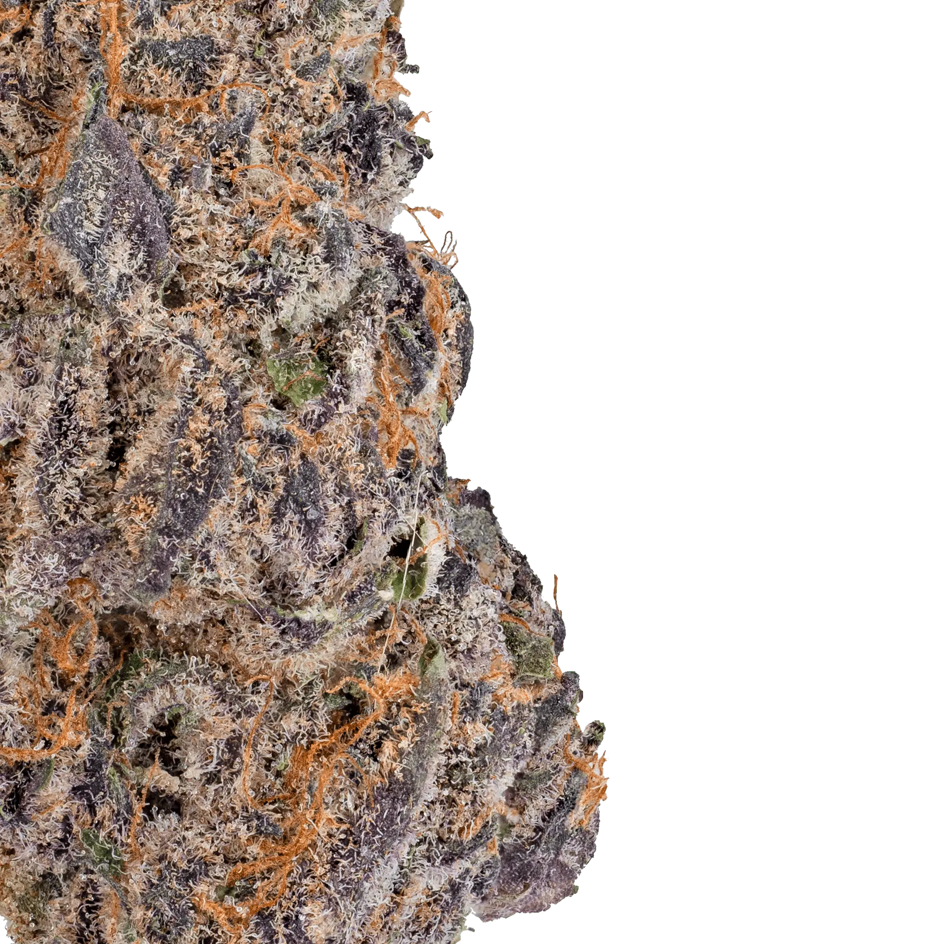 LOWEZ - Blue Cherry Gelato - Bay Smokes