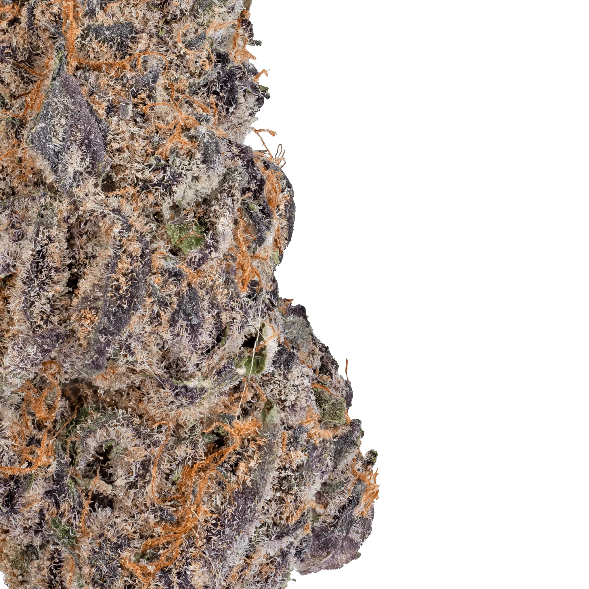 LOWEZ - Blue Cherry Gelato - Bay Smokes