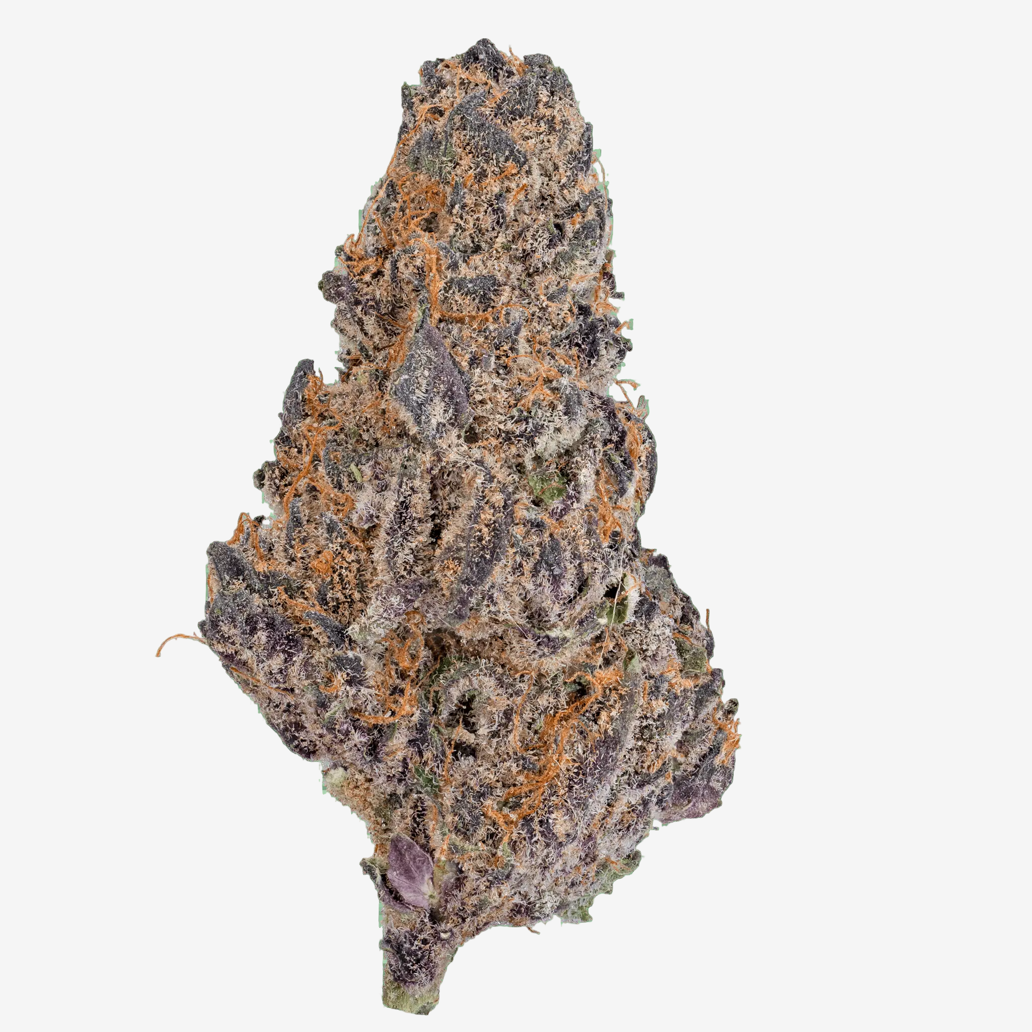 LOWEZ - Blue Cherry Gelato - Bay Smokes