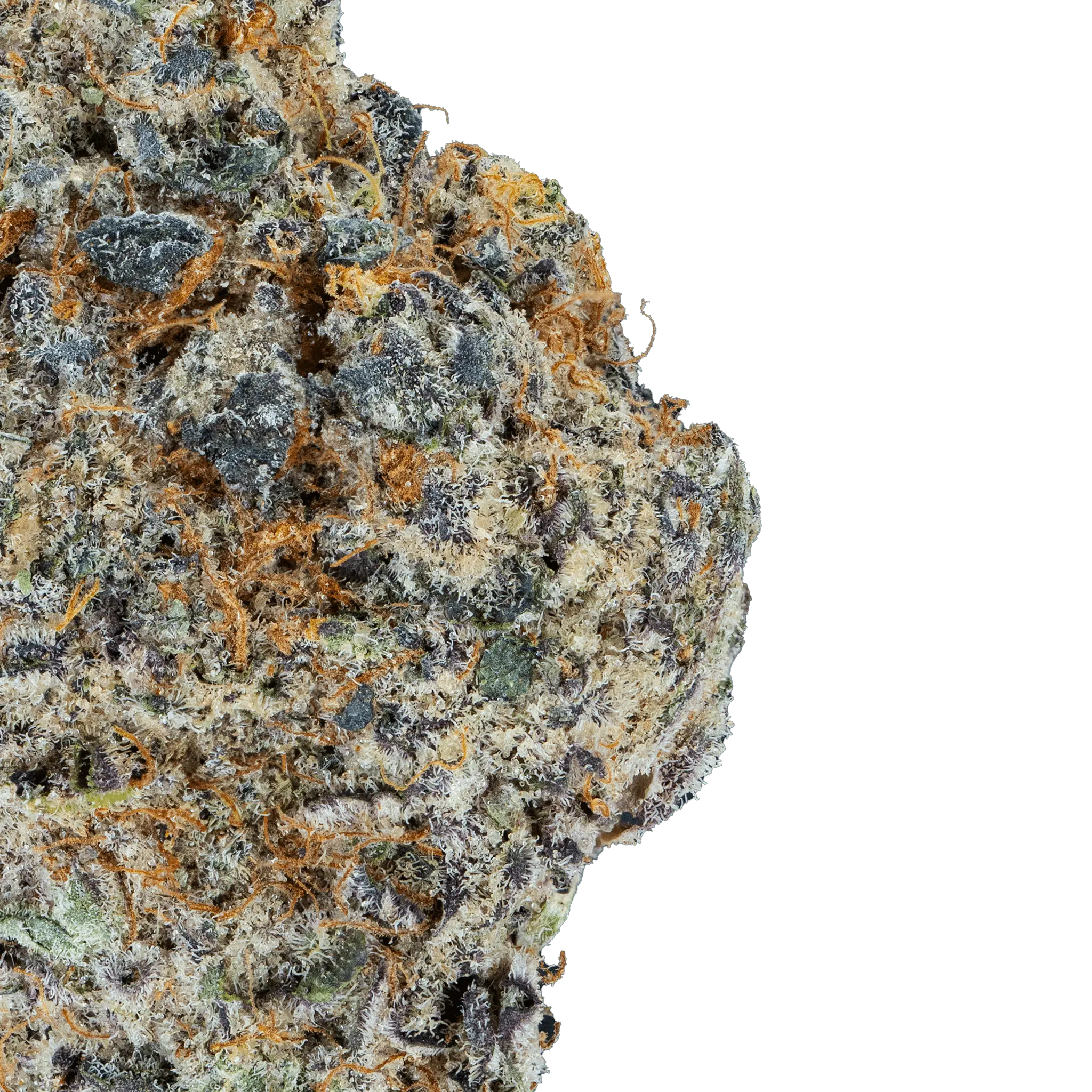 London Pound Cake – THCa Flower - Bay Smokes